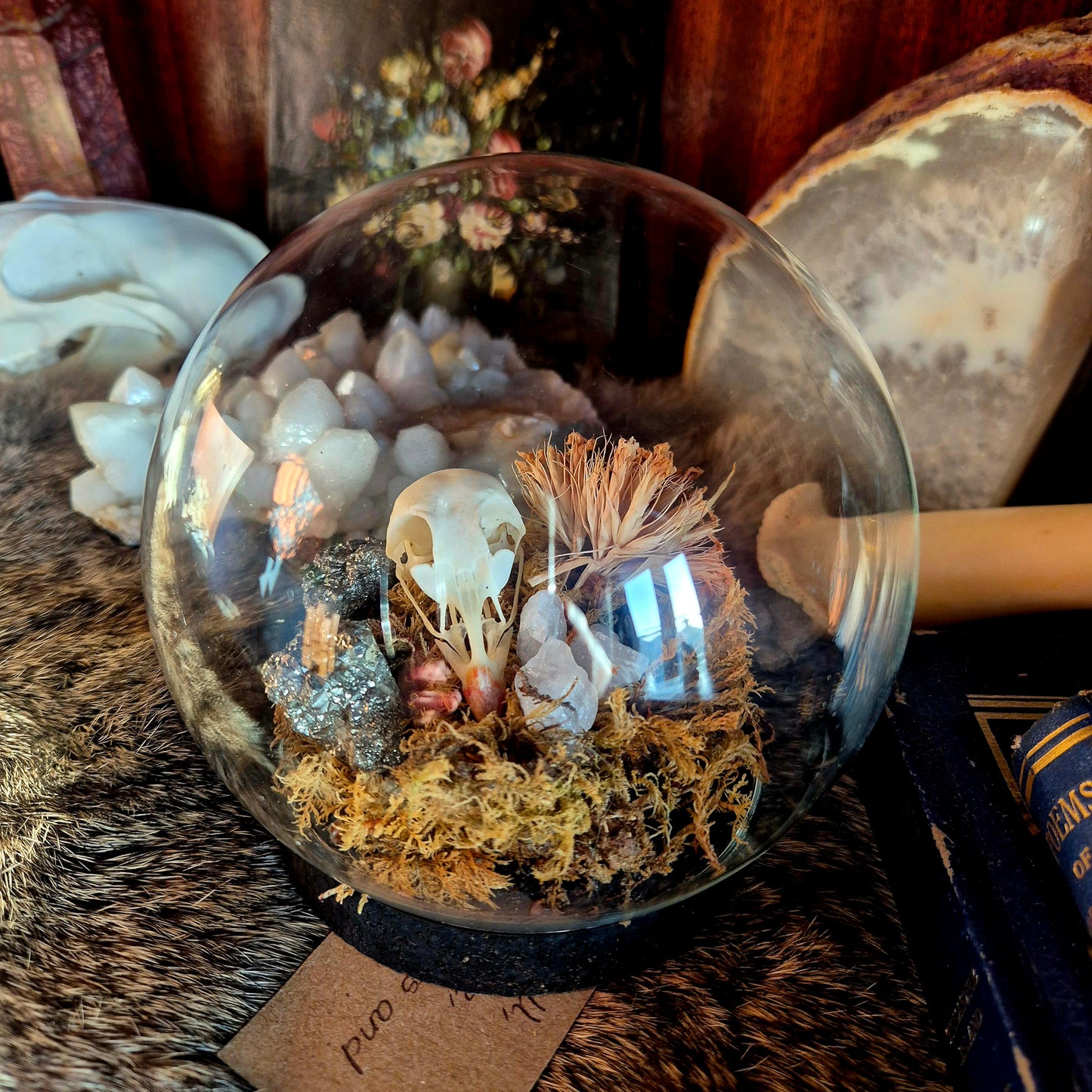 Partridge Skull Bubble Dome