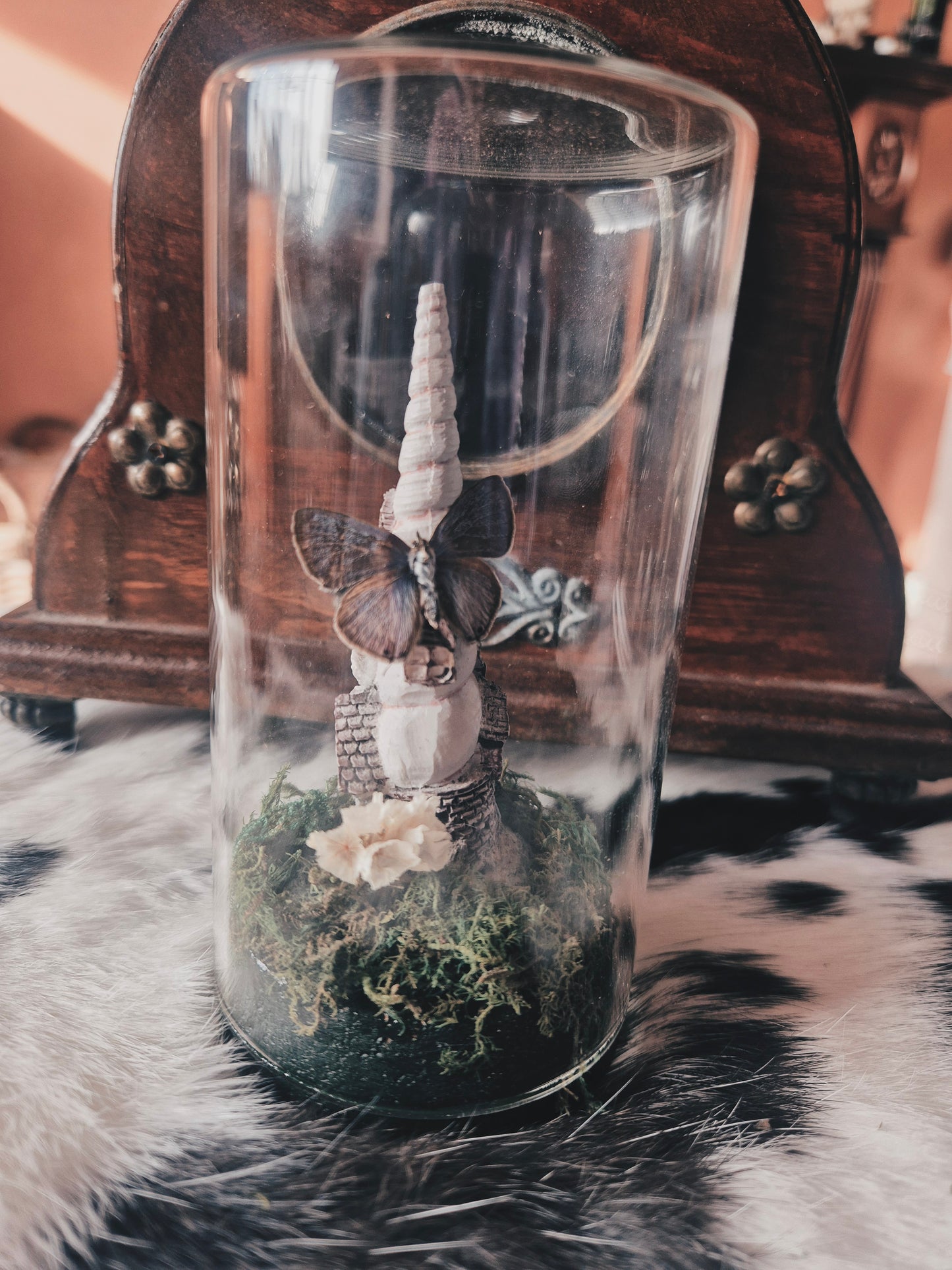 Long Tailed Blue Butterfly