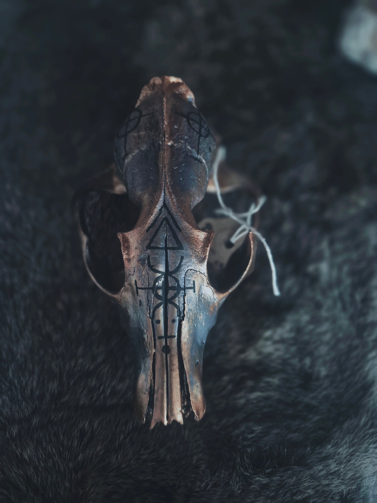 Runic Painted Fox Skull