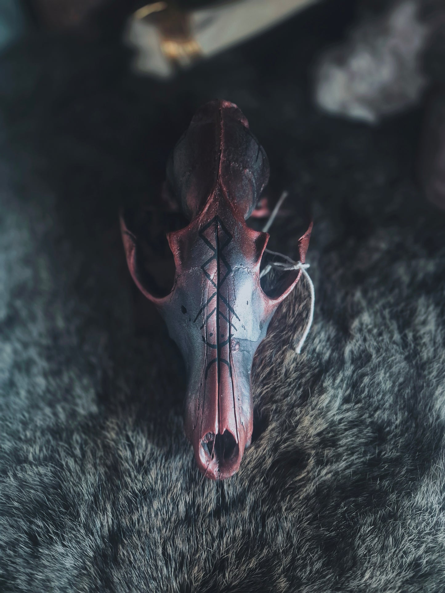 Runic Painted Fox Skull