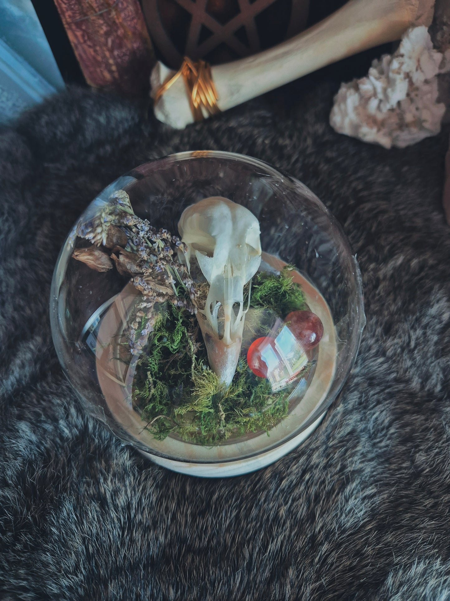 Grouse Skull Dome