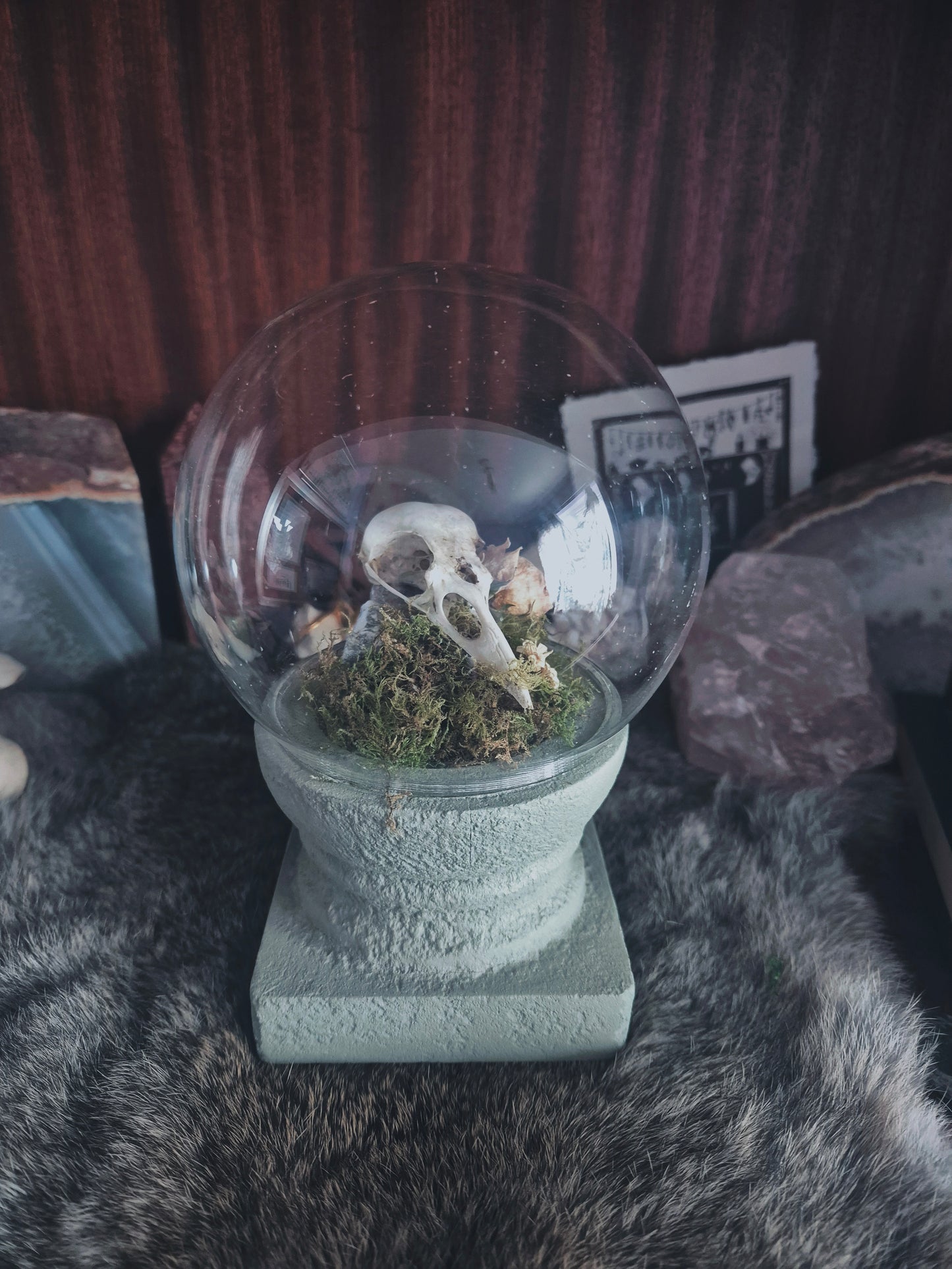 Crow Skull Dome