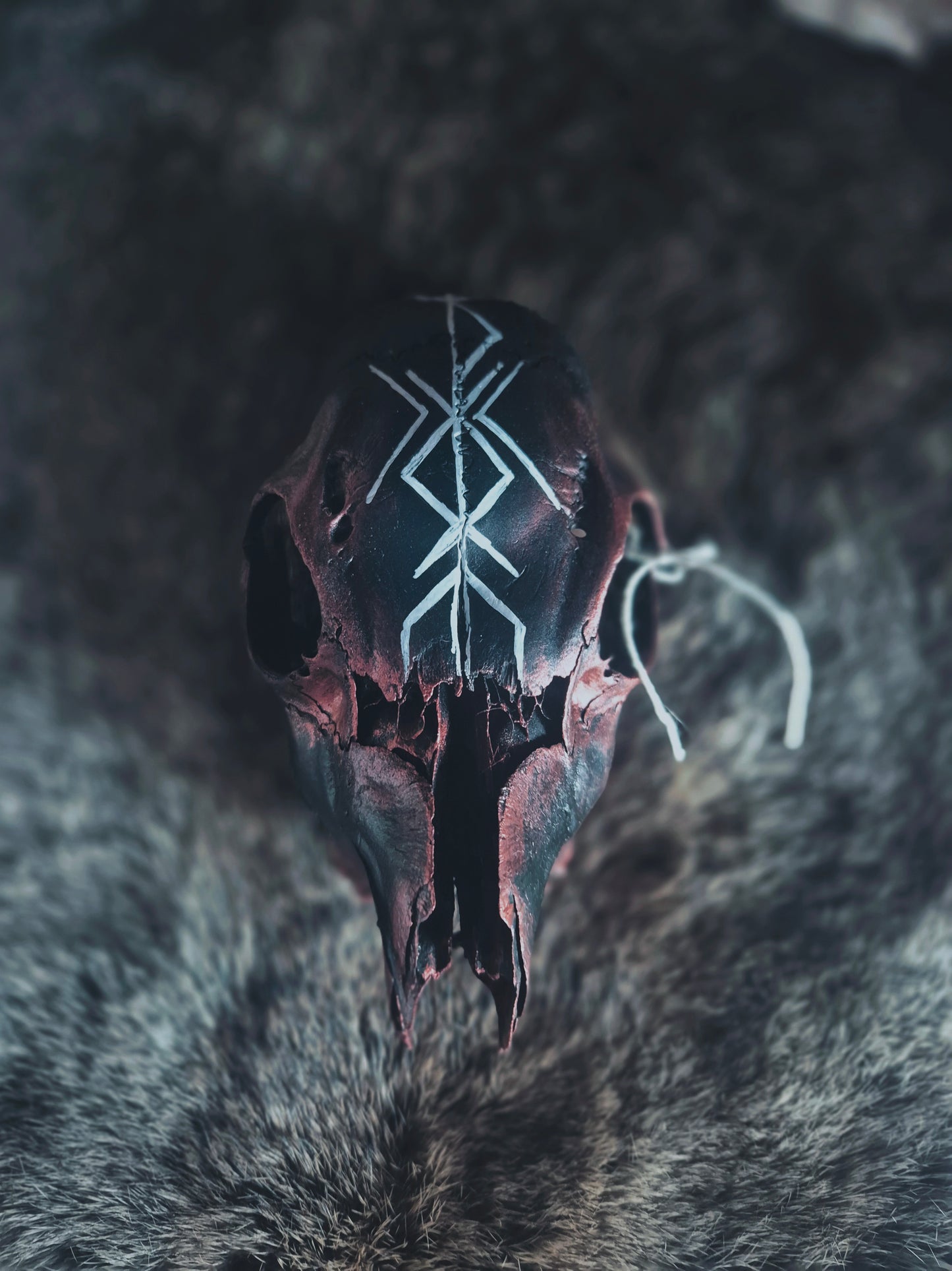 Runic Painted Deer Skull