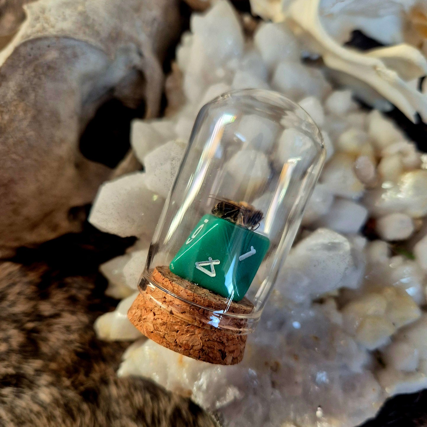 D&D Dice Bee Dome
