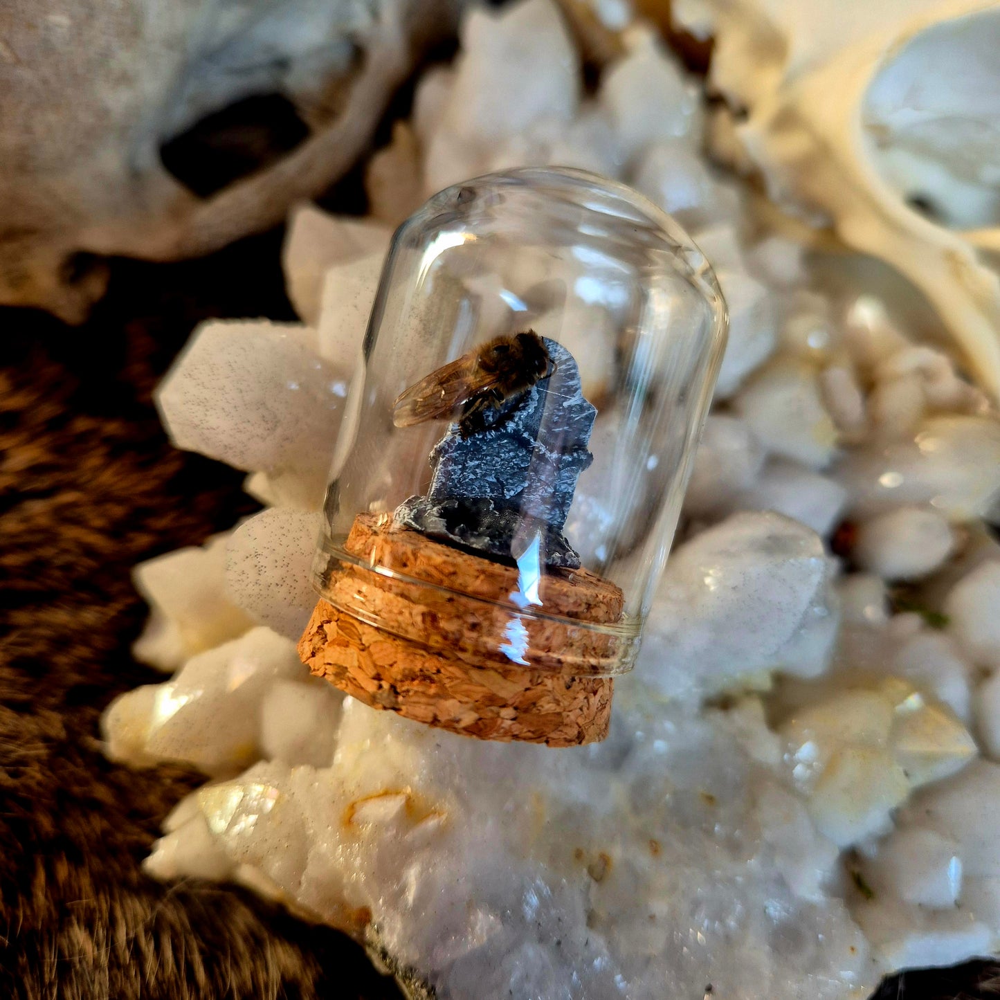 Gravestone Bee Dome