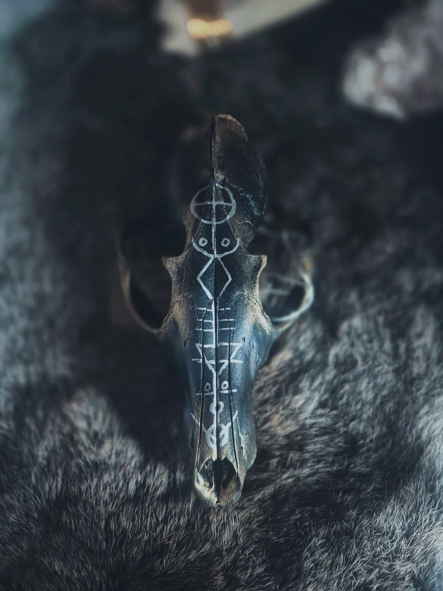 Runic Painted Fox Skull