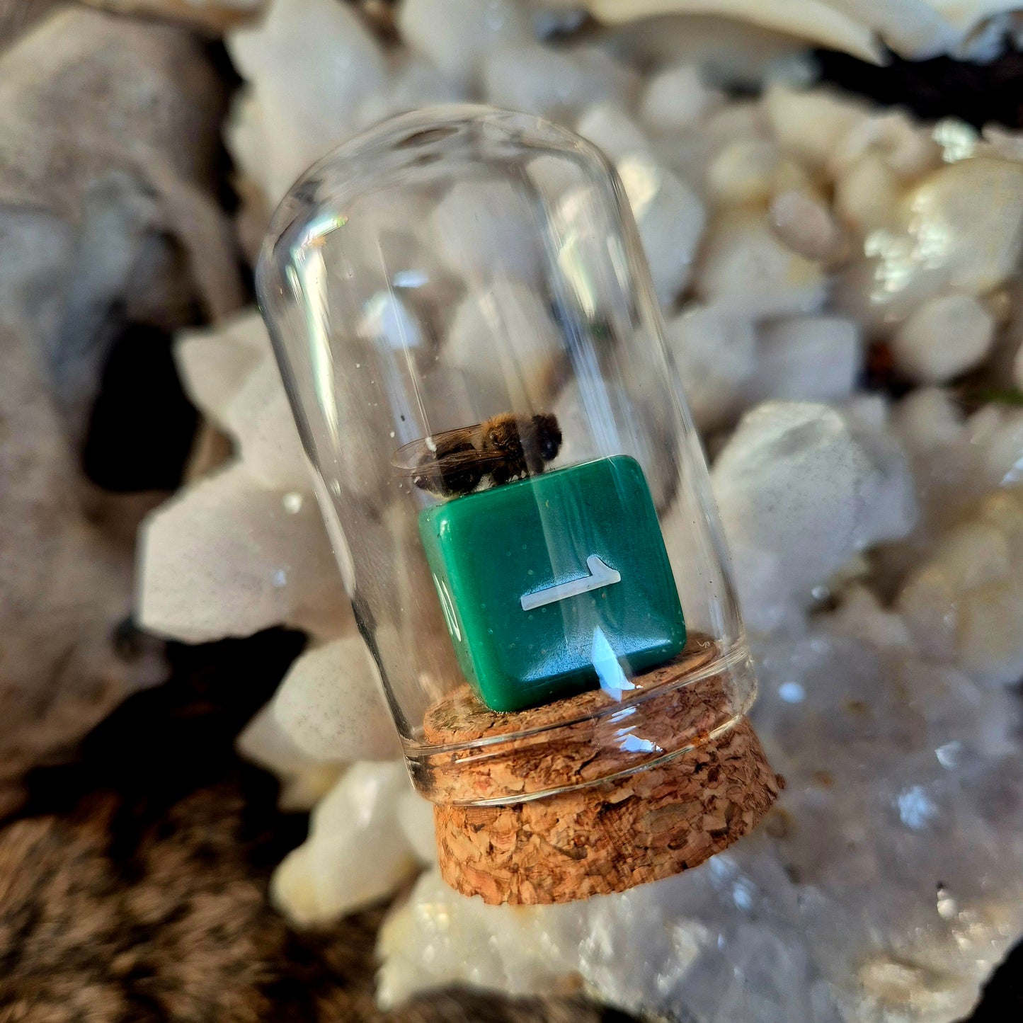 D&D Dice Bee Dome