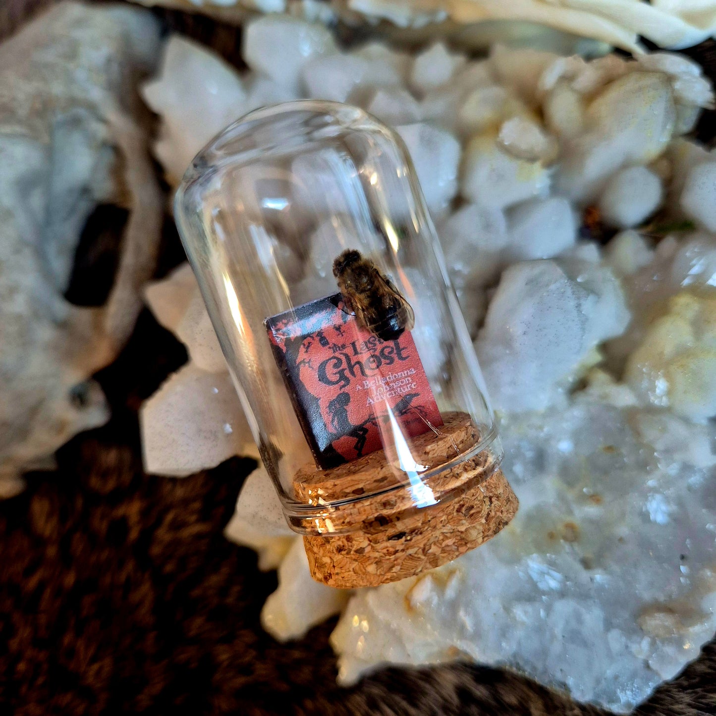 Book Bee Dome