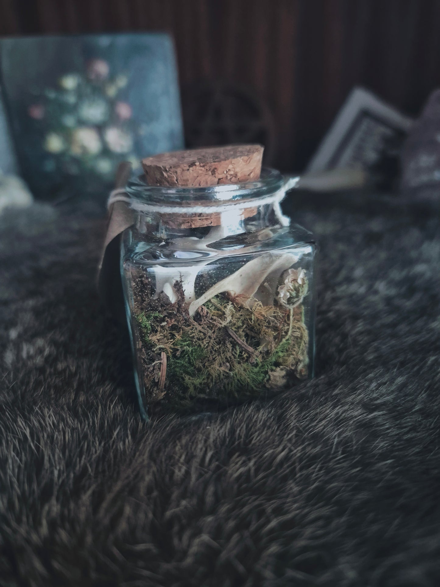 Square Curio Jar