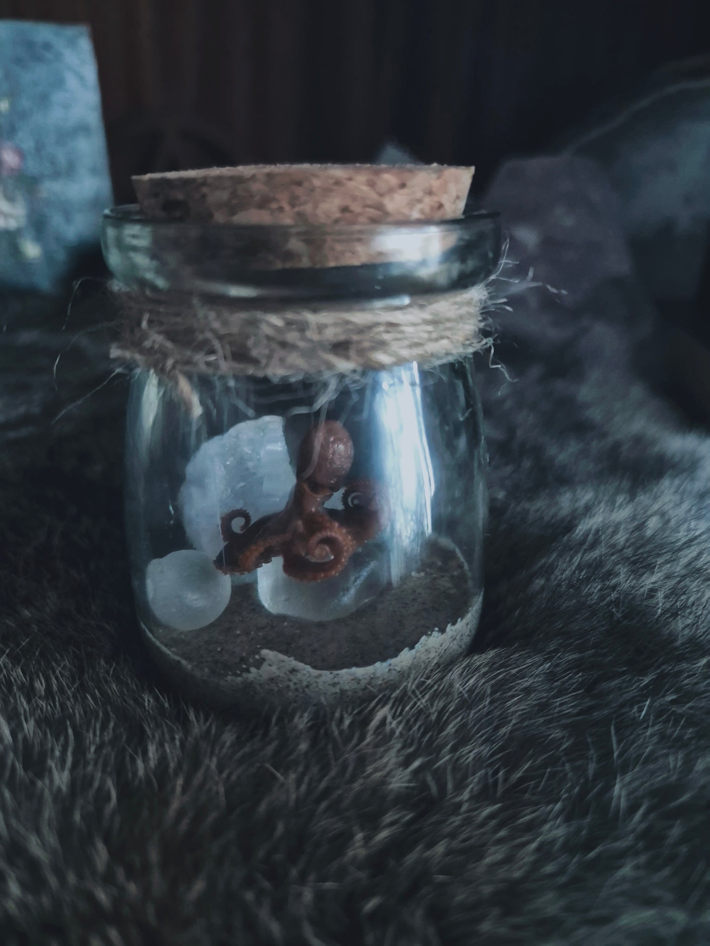 Preserved Octopus Jar