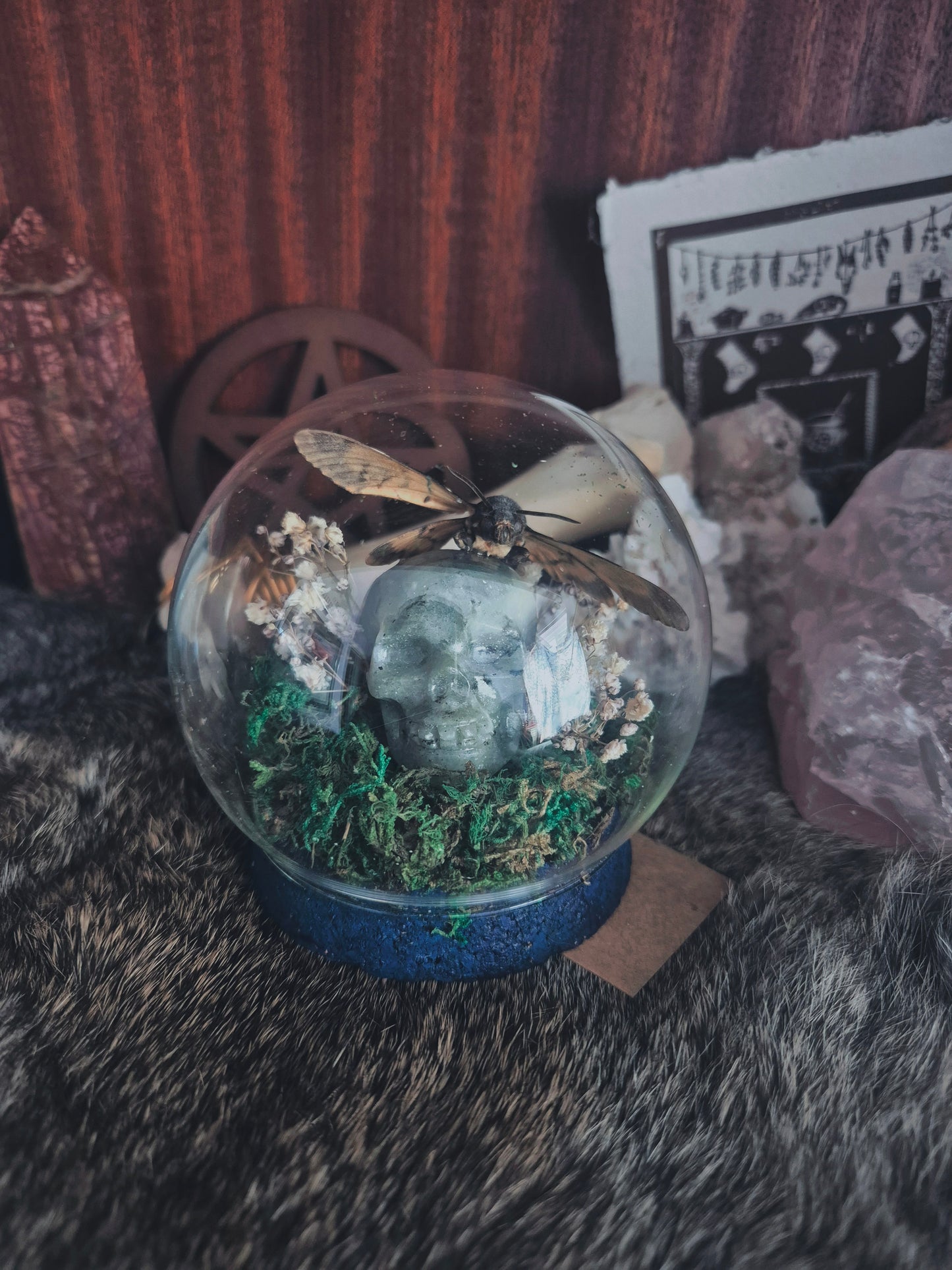 Crystal Skull and Death Head Moth Dome