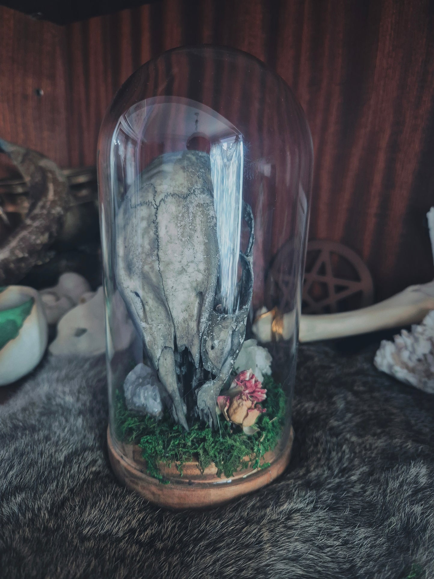 Deer Skull Dome