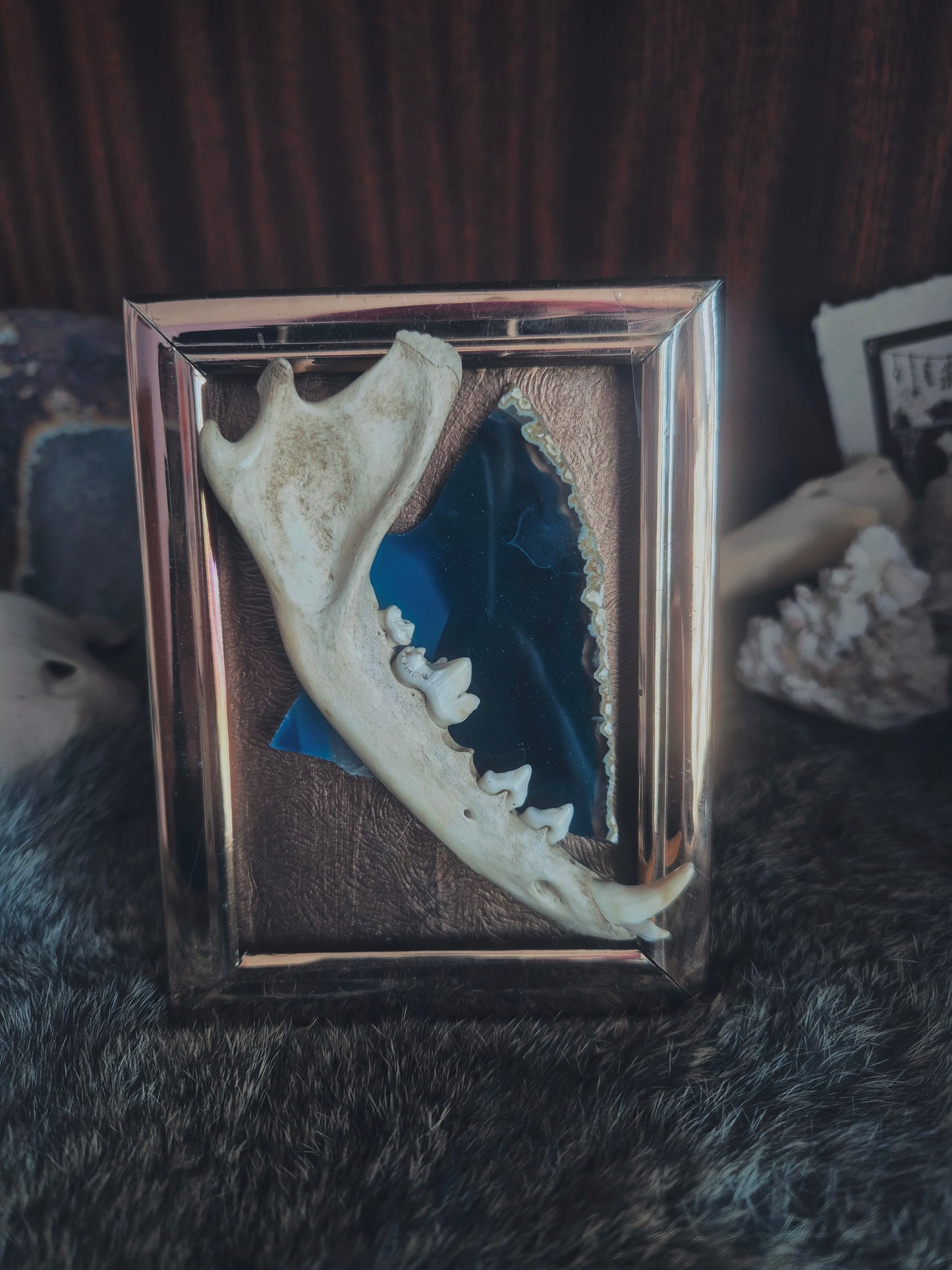 Fox Jaw frame