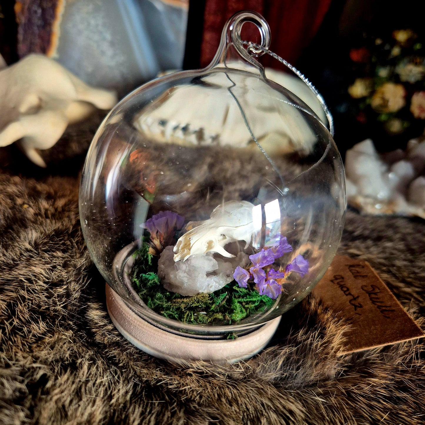 Rat Skull Bubble Dome