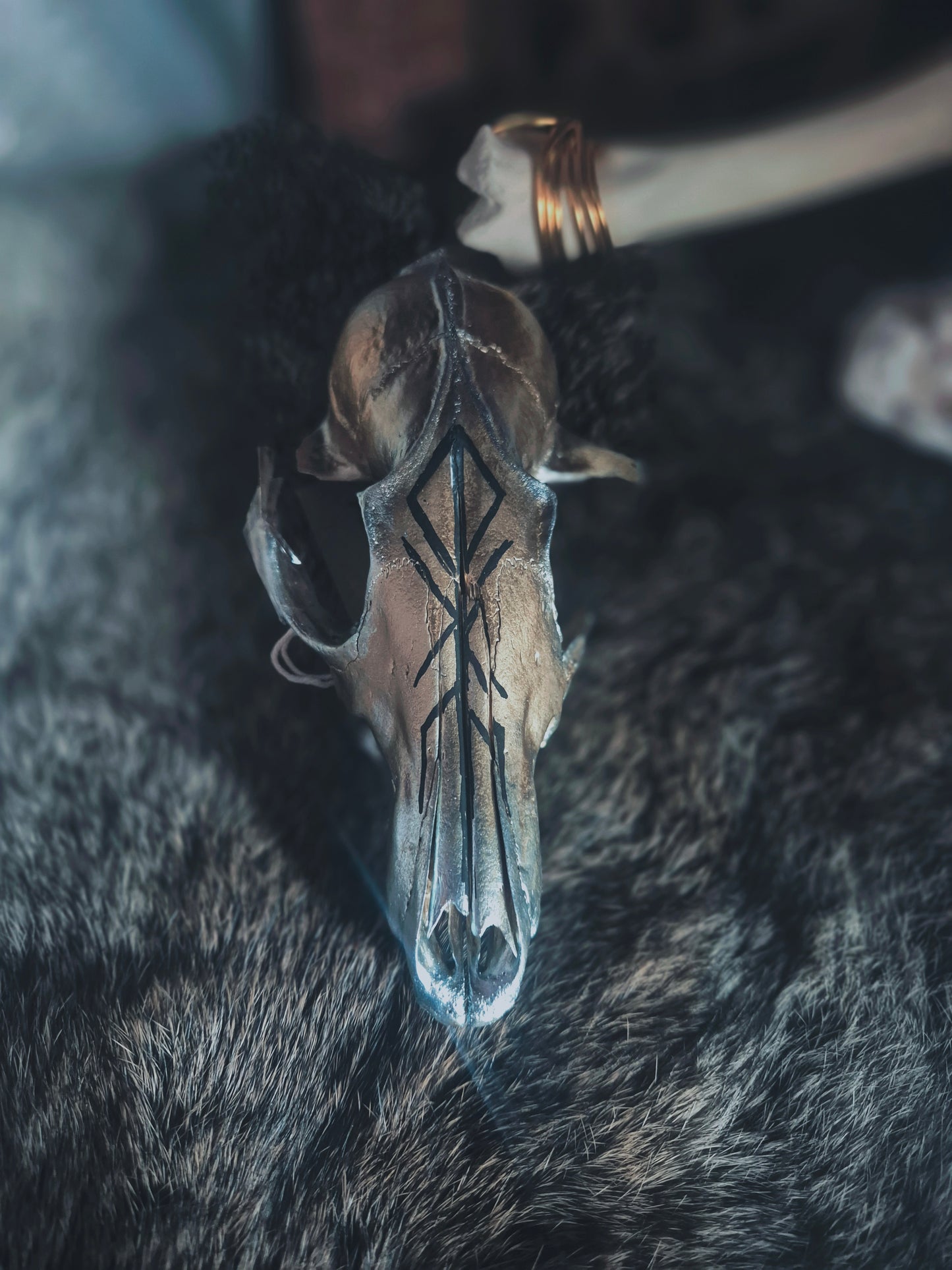 Runic Painted Fox Skull
