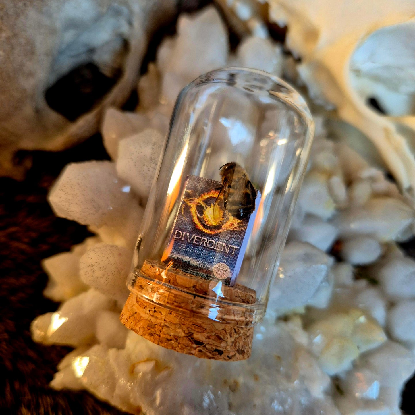 Book Bee Dome
