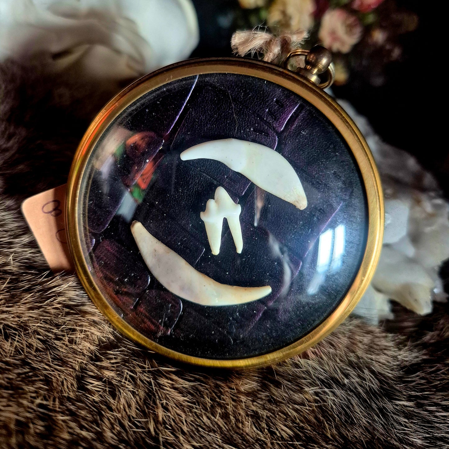 Fox Teeth Convex Frame