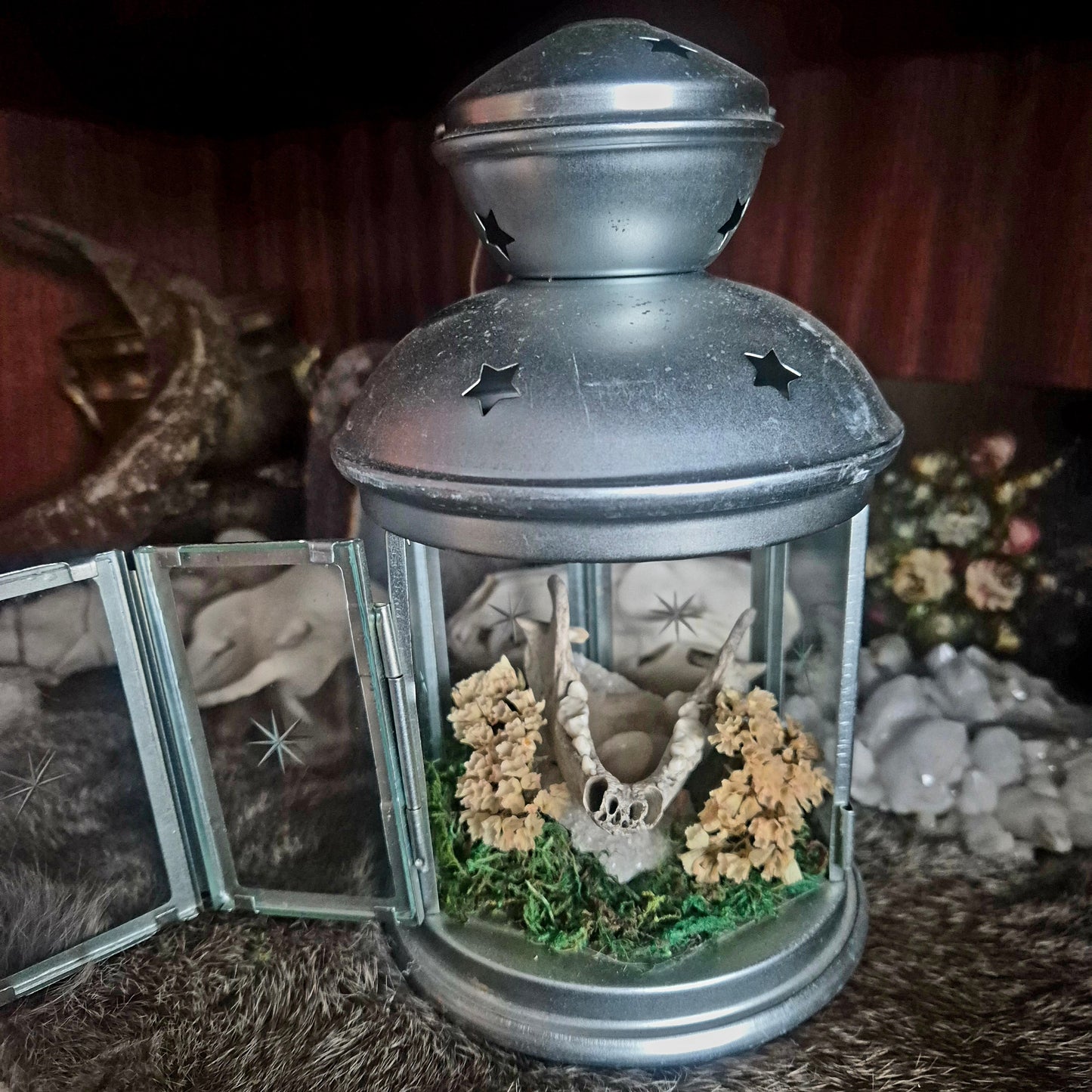 Badger Jaw Lantern