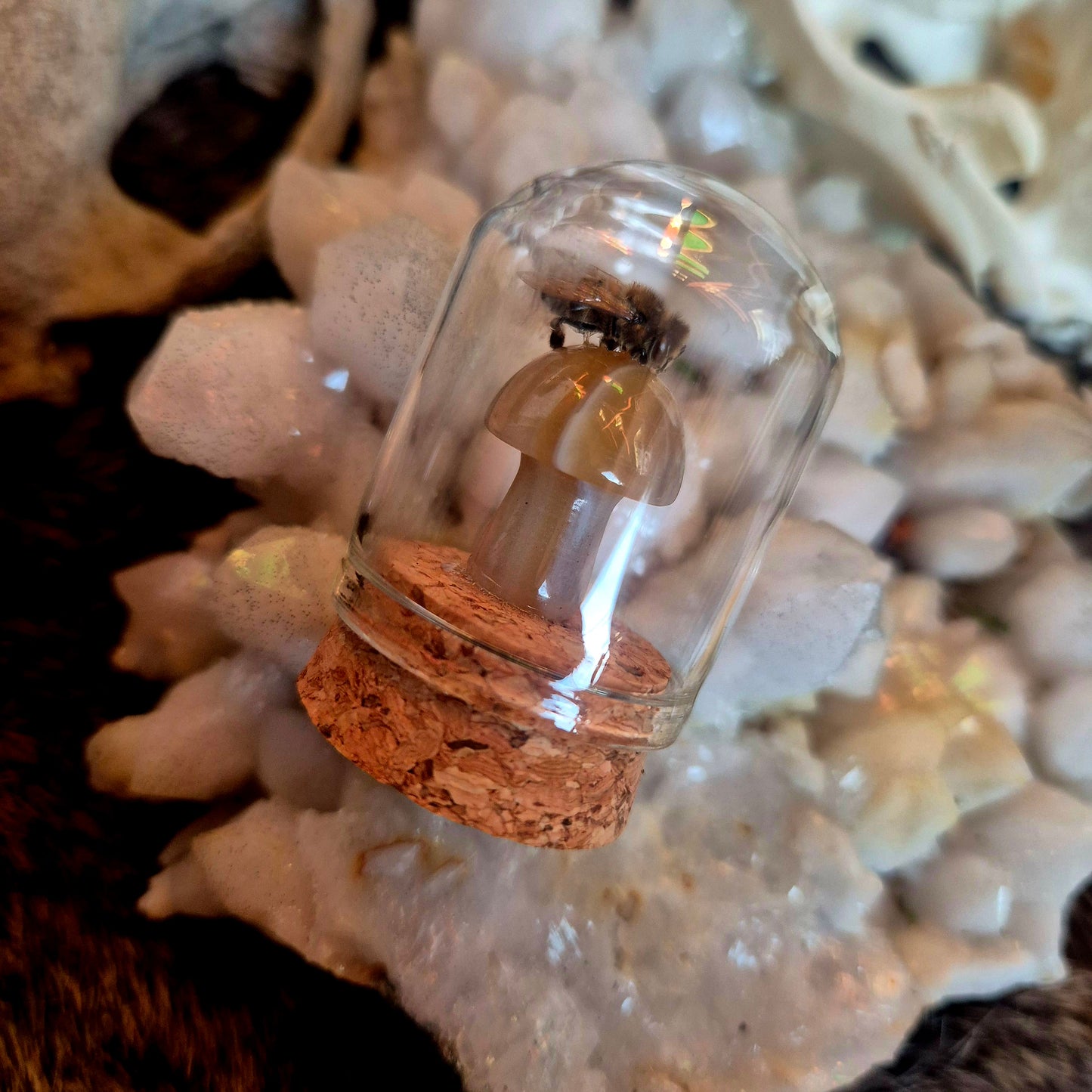 Agate Bee Dome