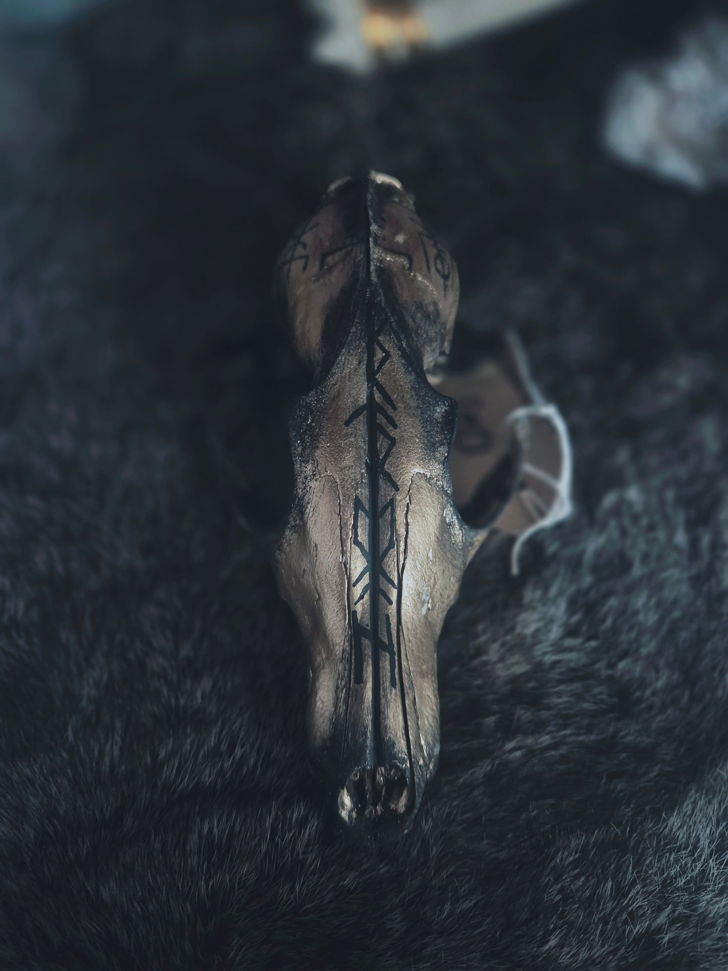 Runic Painted Fox Skull