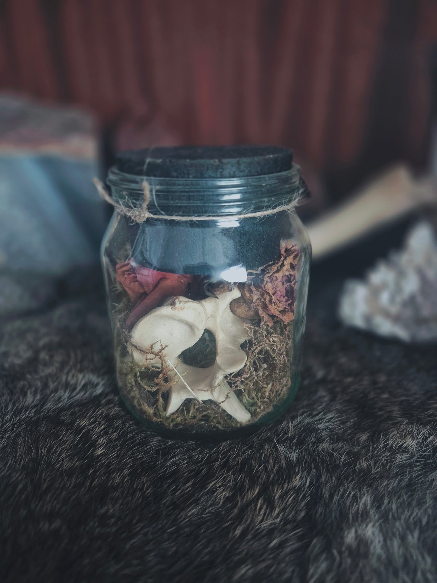 Sheep Vertabrae Jar