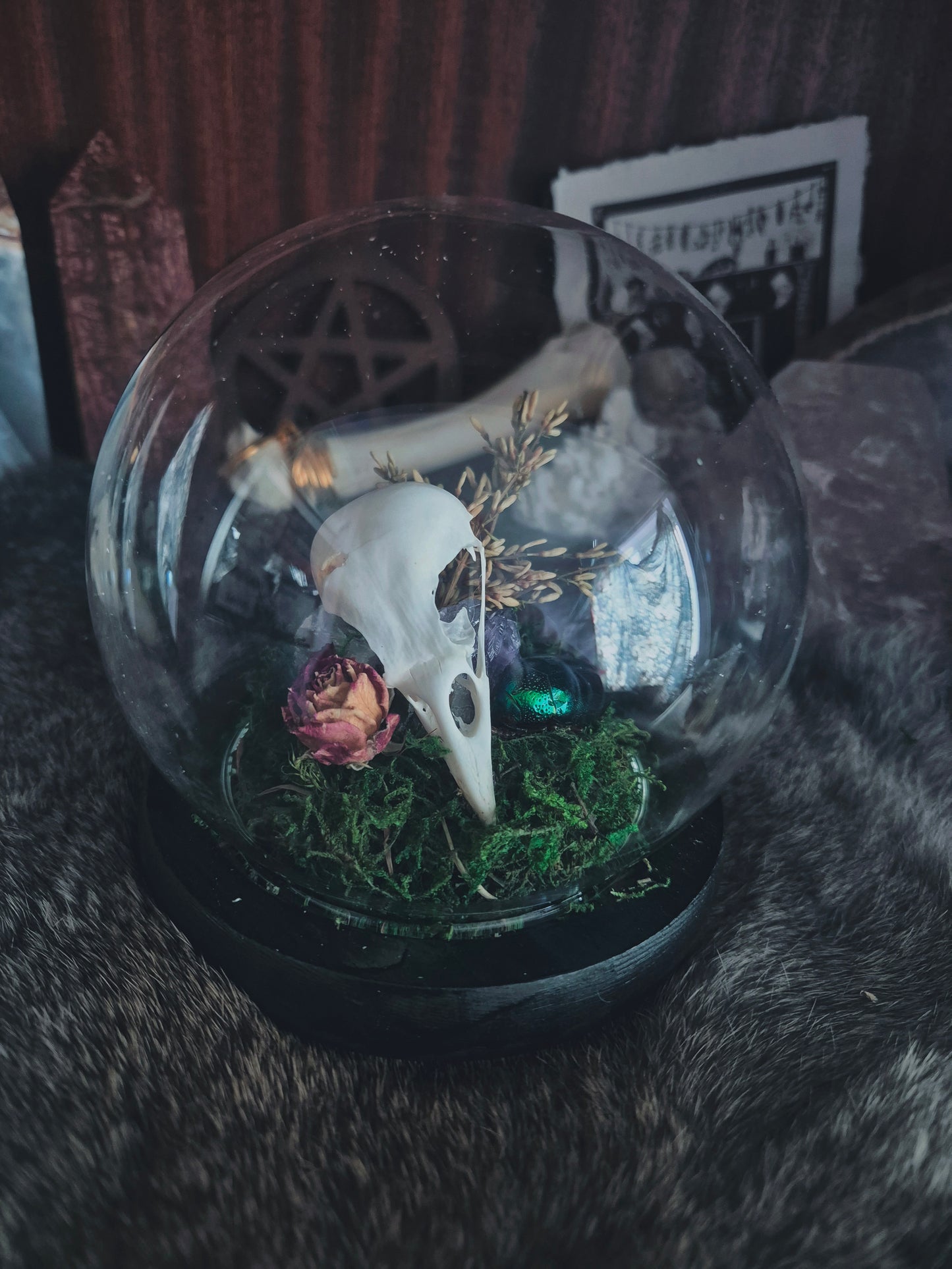 Crow Skull Dome