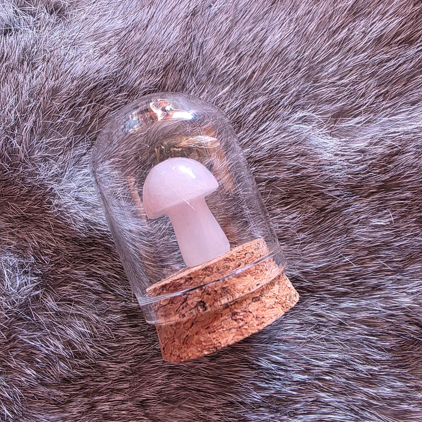 Crystal Mushroom Bee Dome