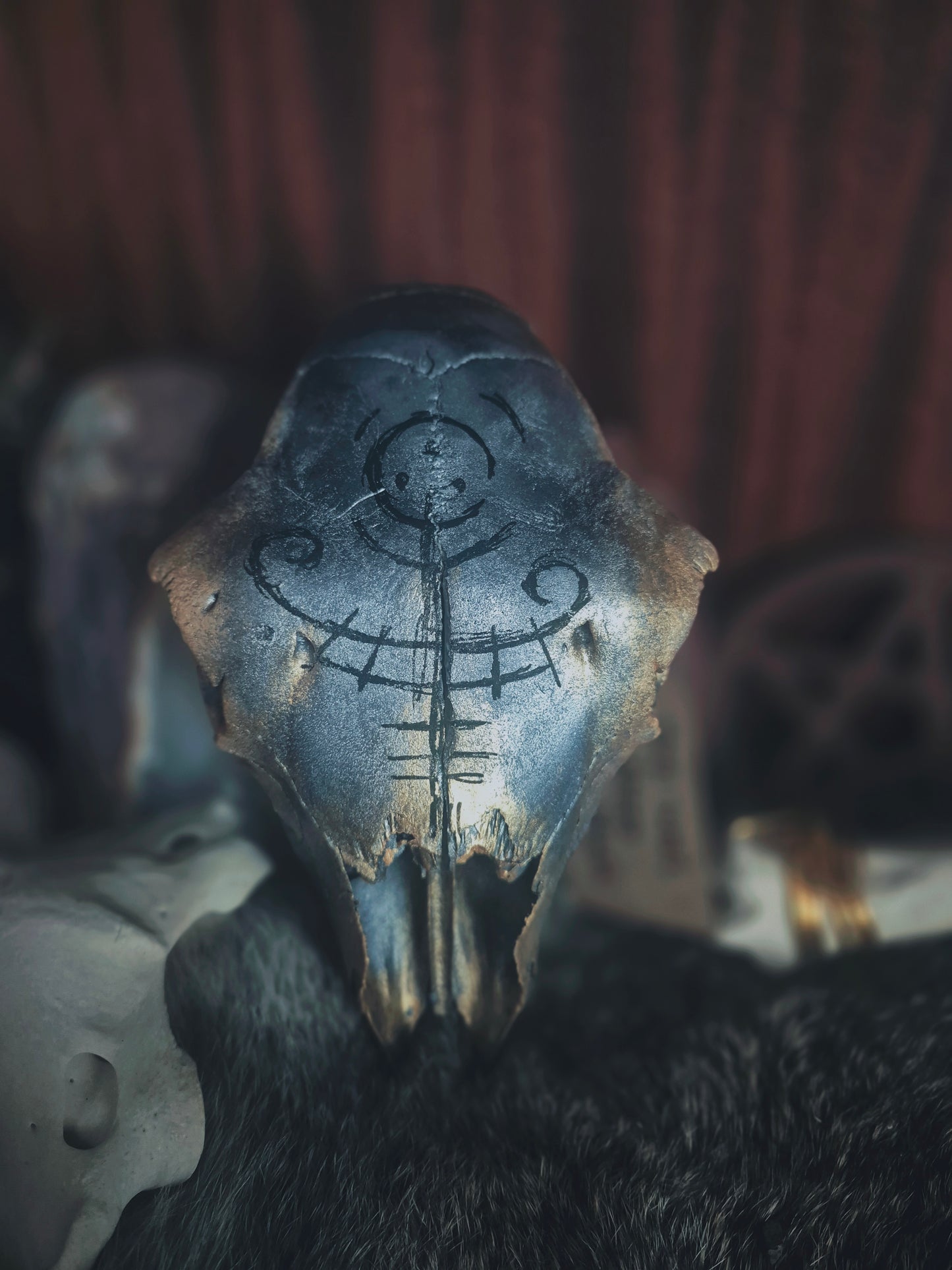 Runic Painted Sheep Skull