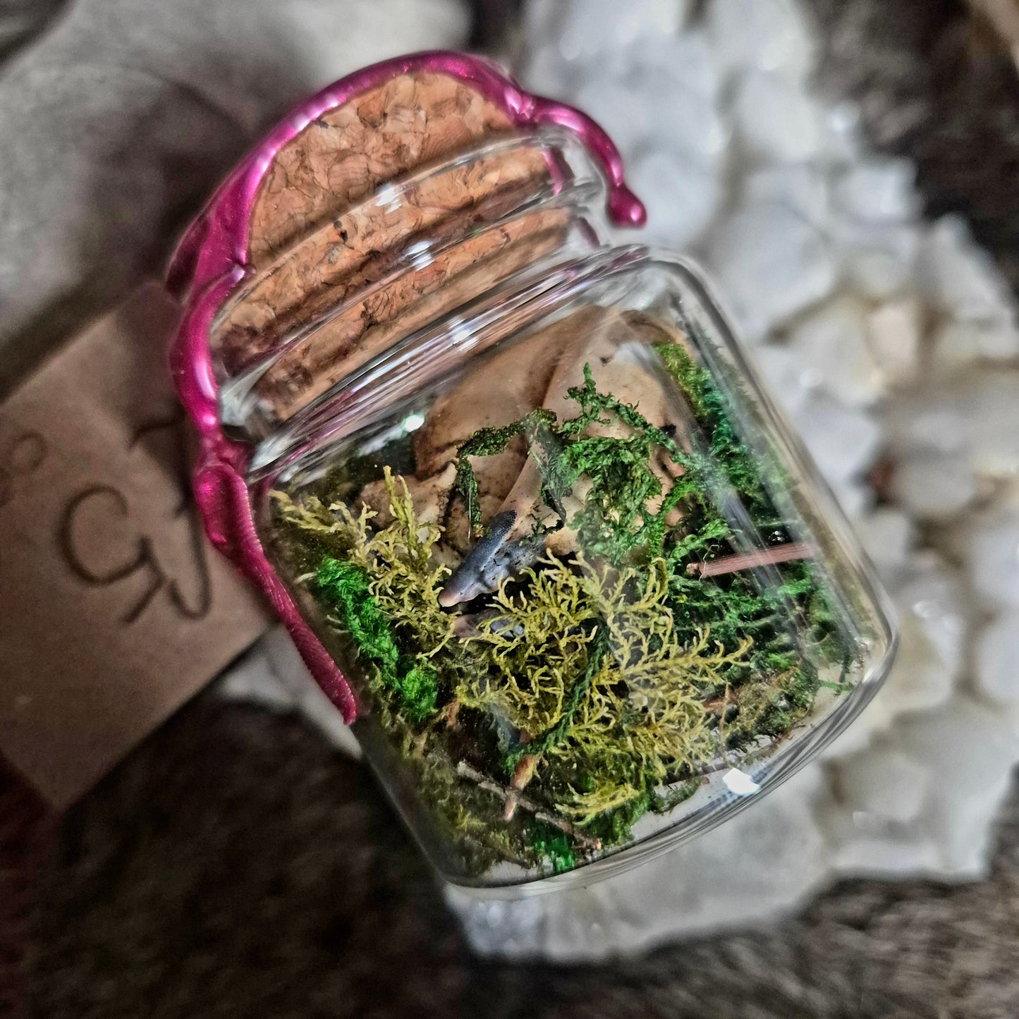 Crab Claw Jar