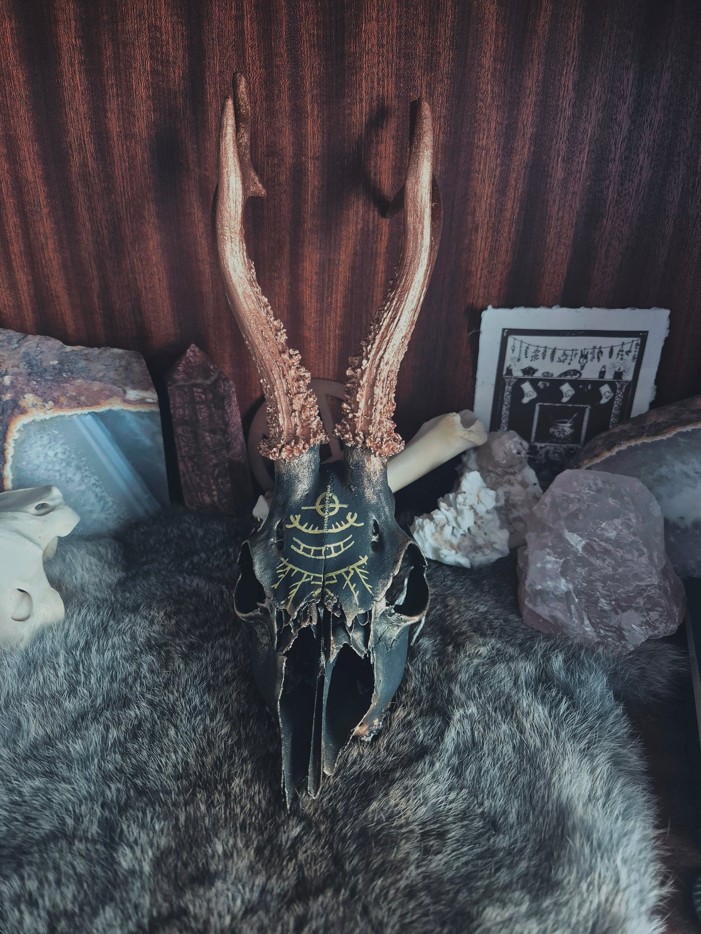 Runic Painted Roe Deer Skull