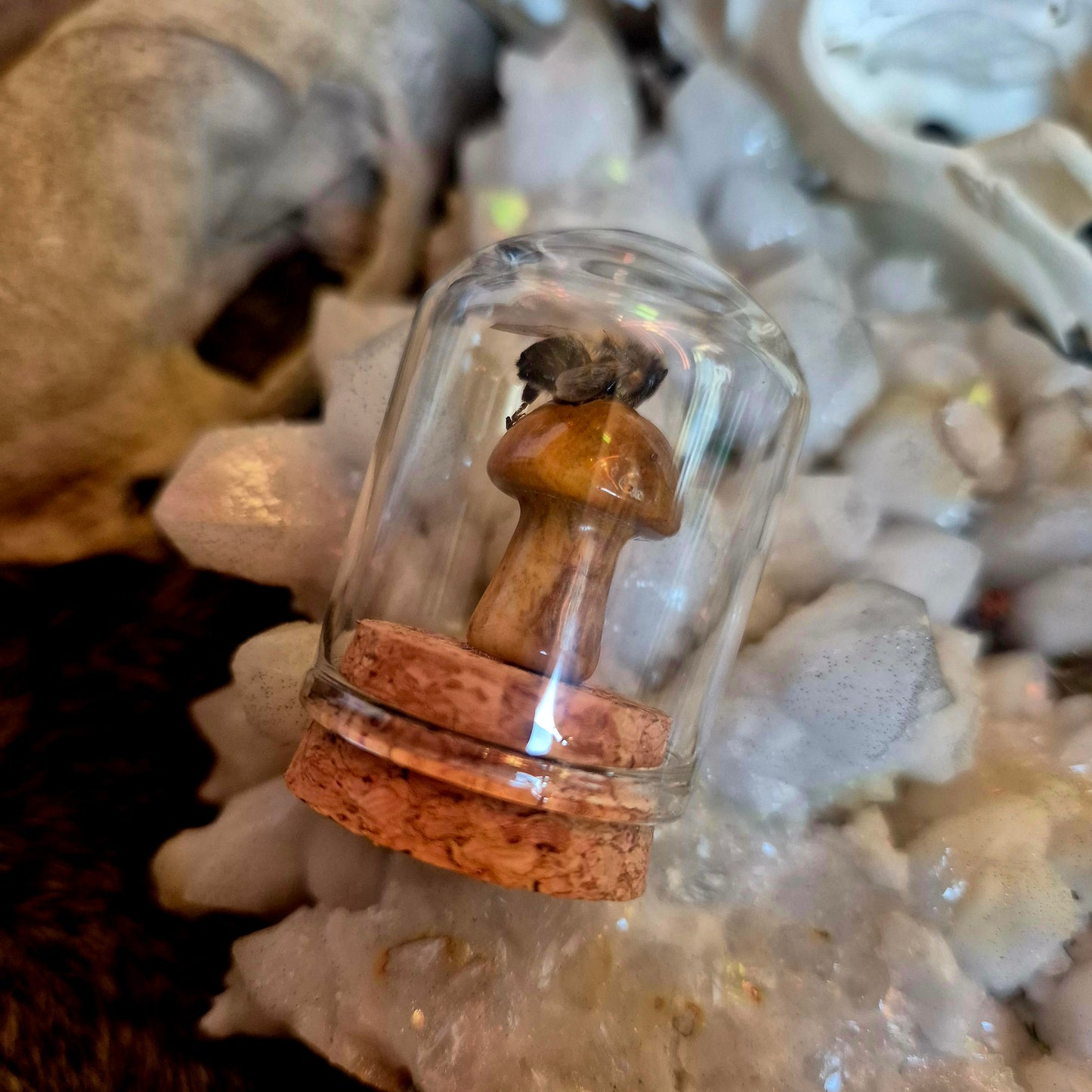 Crystal Mushroom Bee Dome