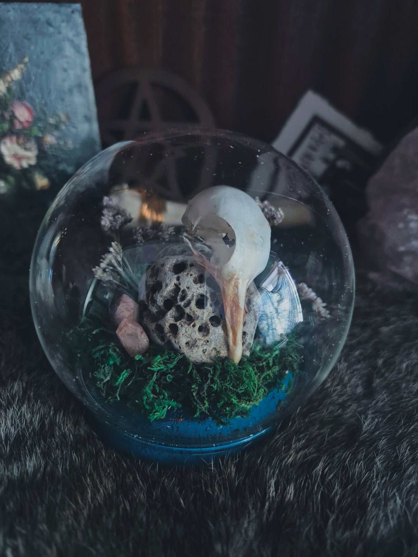 Pigeon Skull Dome