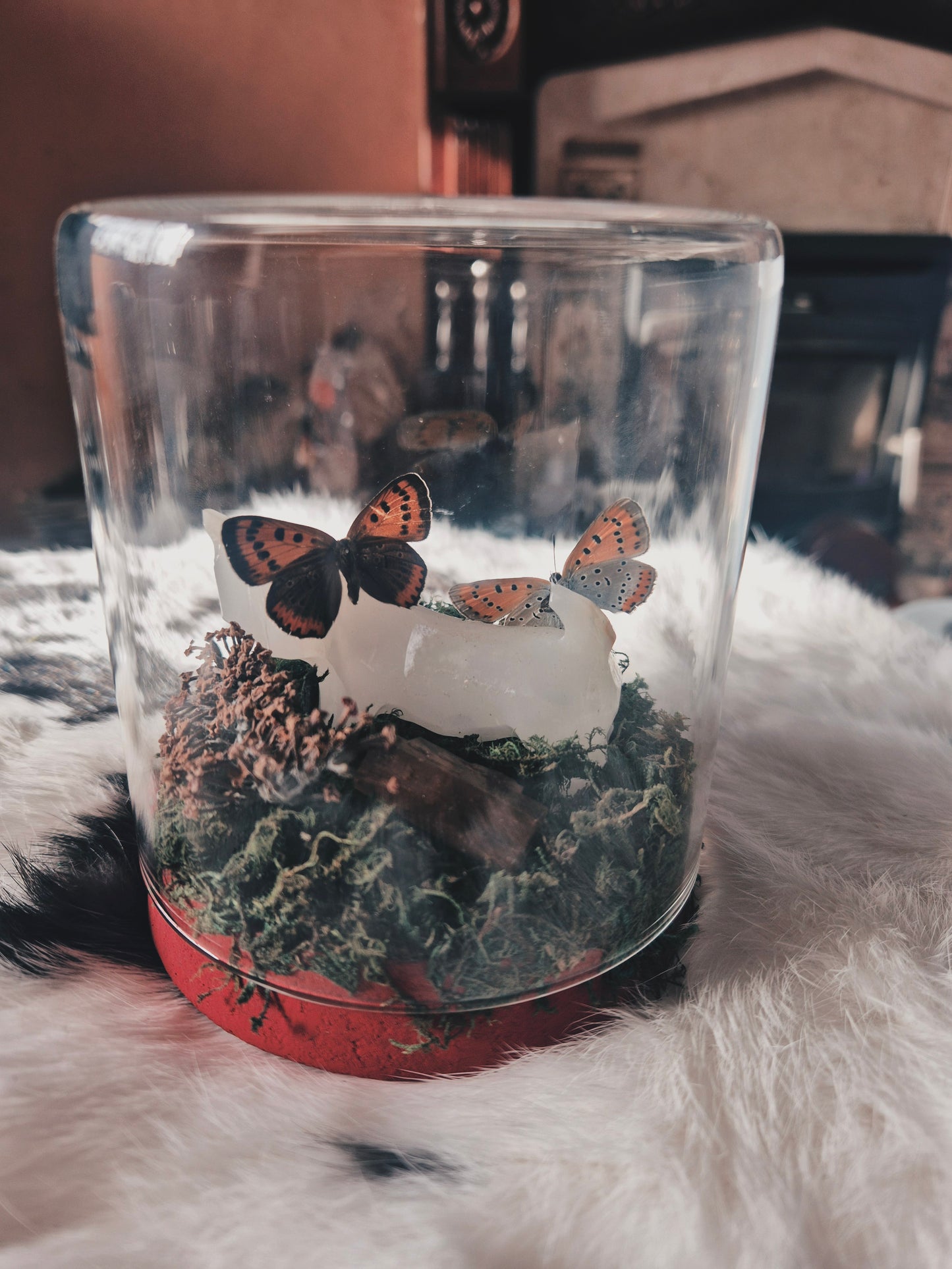 Copper Butterfly and Onyx Dog