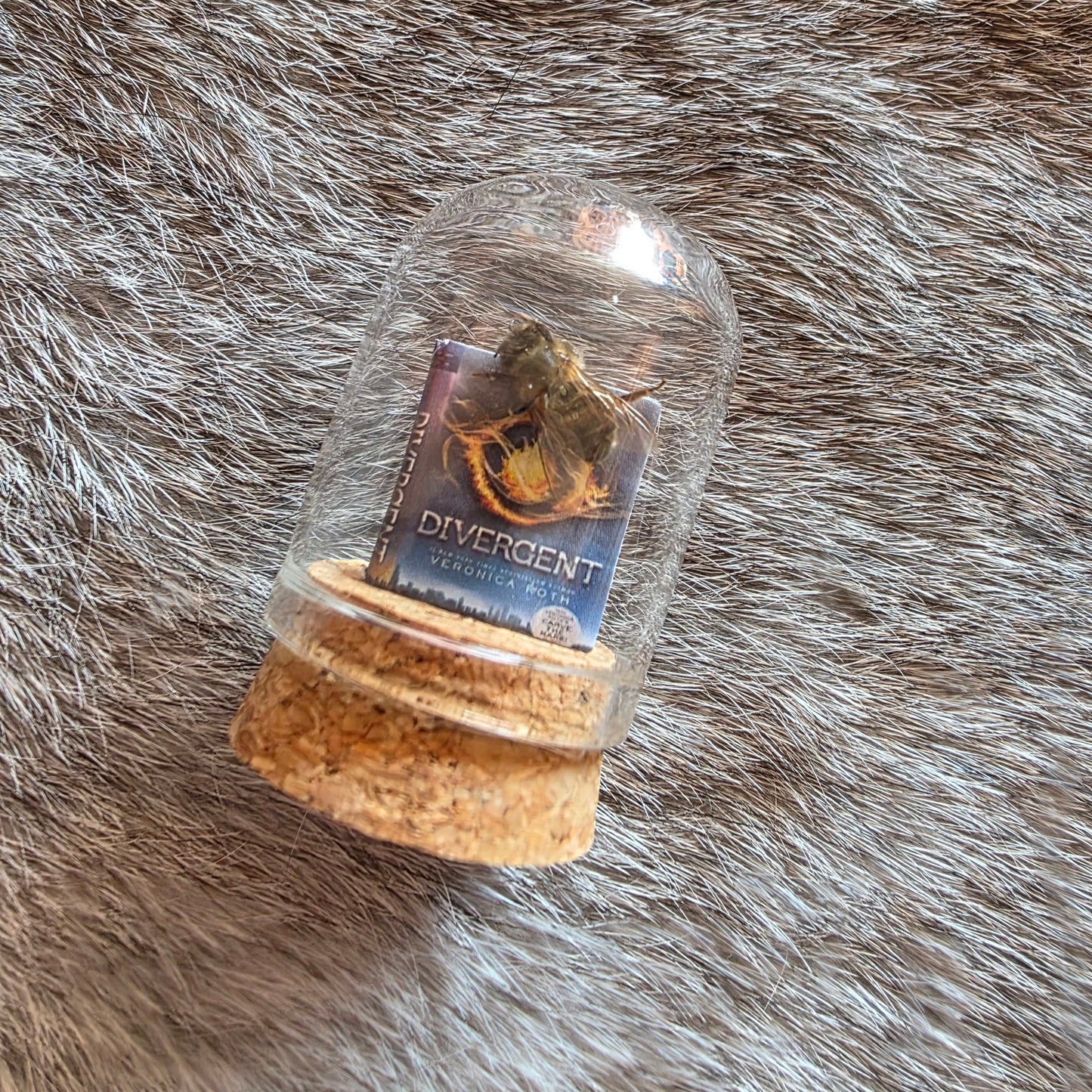 Book Bee Dome
