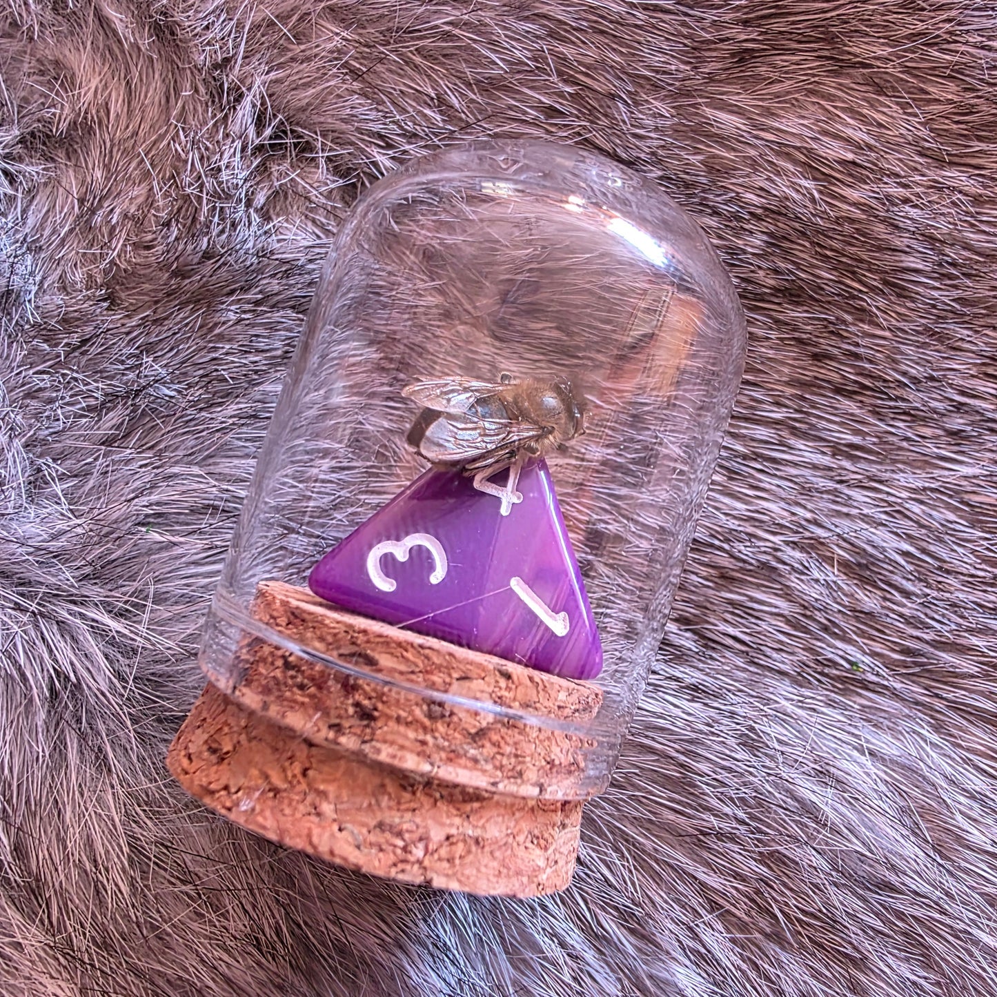 D&D Dice Bee Dome