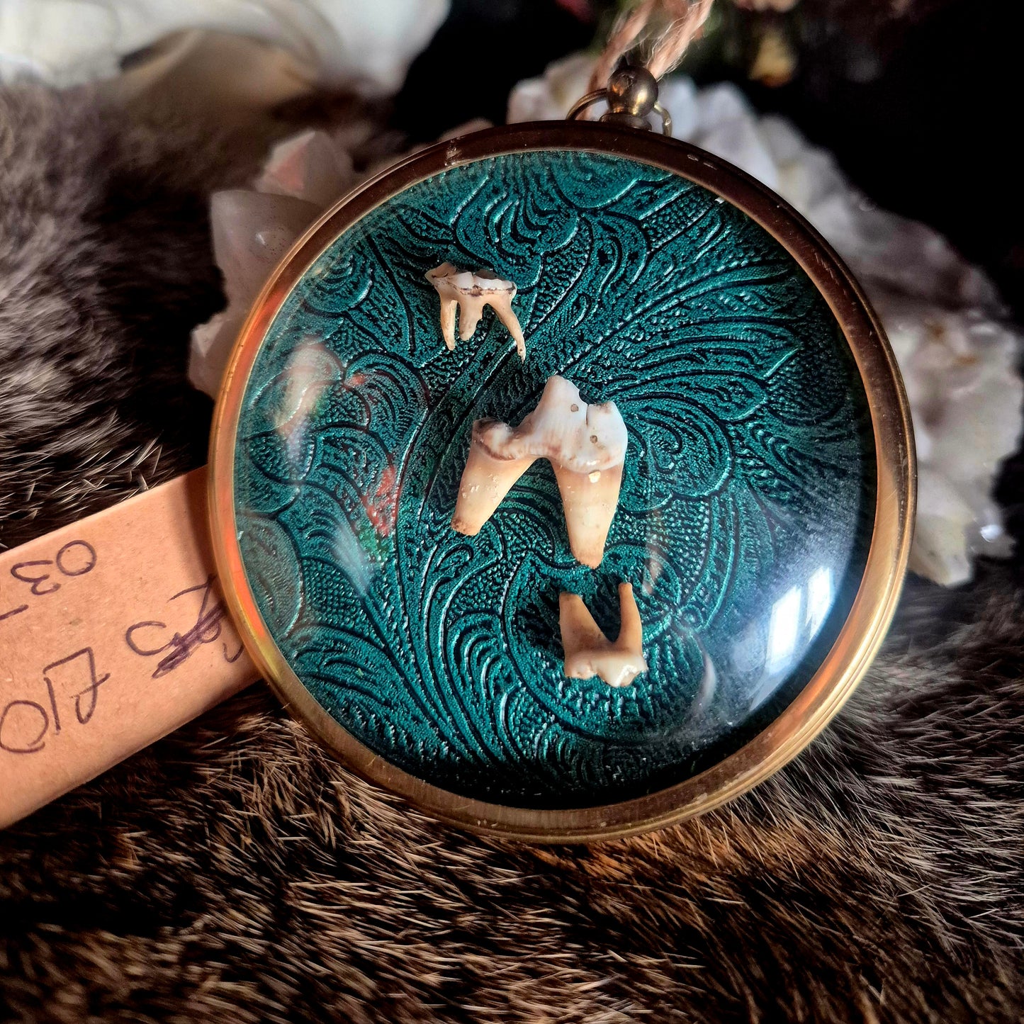 Pig Teeth Convex Frame