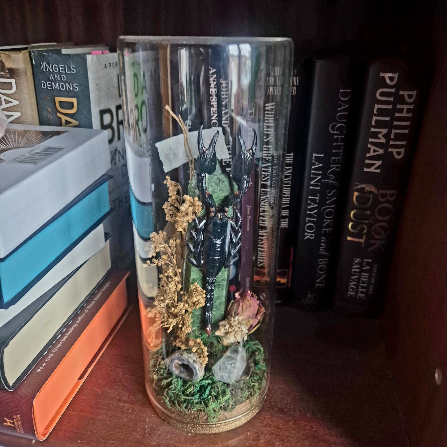 Scorpion Jar