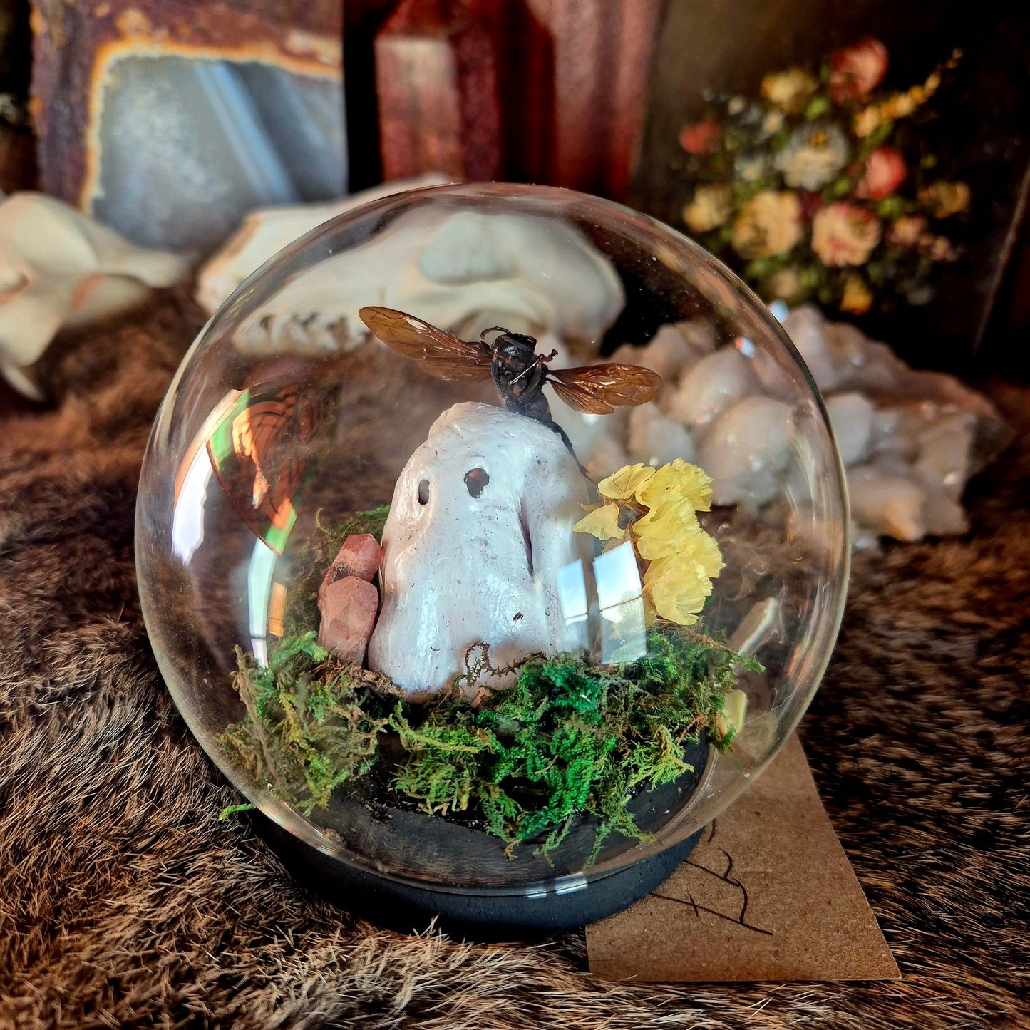 Wasp and Ghost Bubble Dome