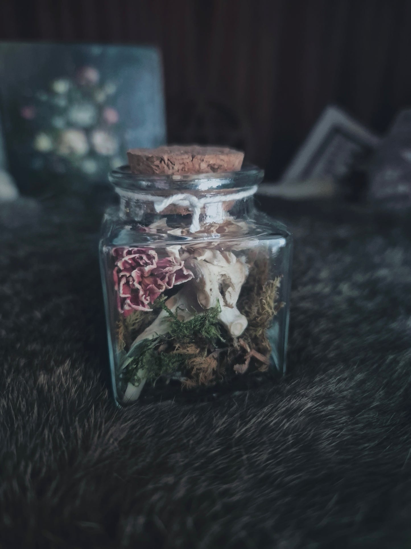 Square Curio Jar