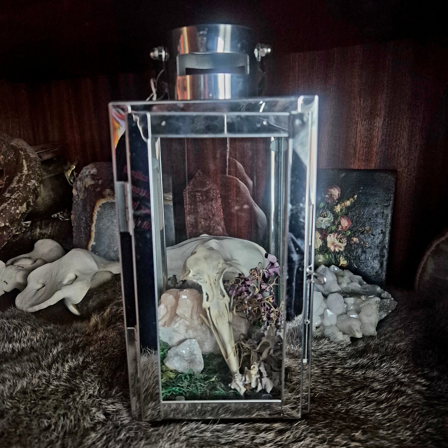 Seagull Skull Lantern