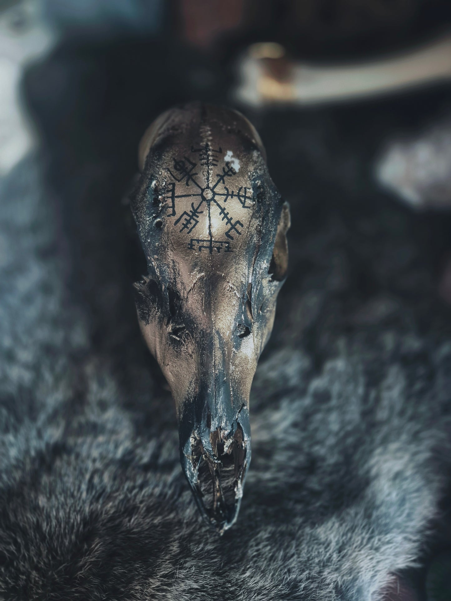 Runic Painted Deer Skull