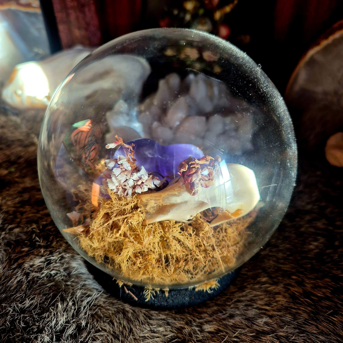 Partial Duck Skull Bubble Dome