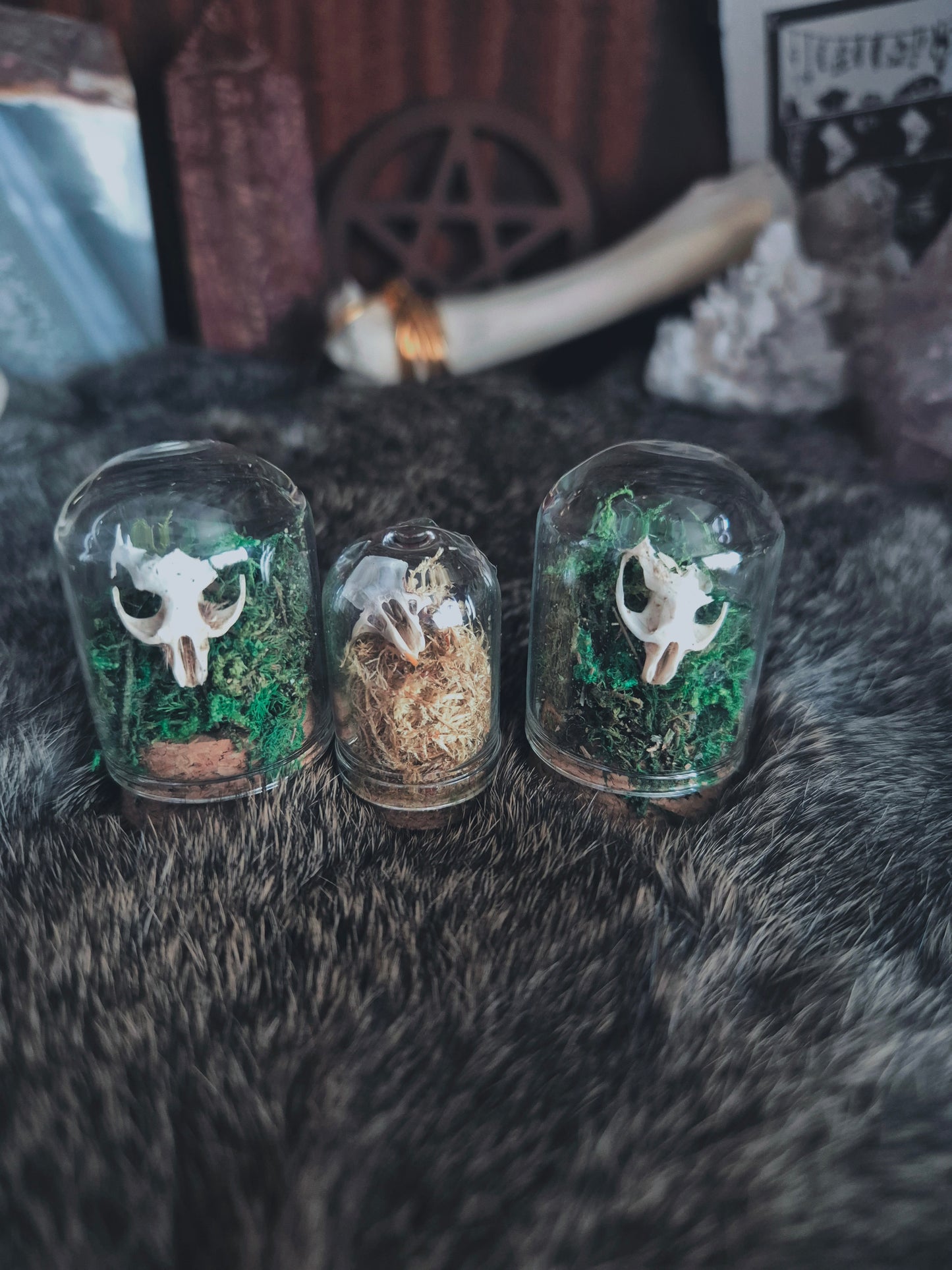 Mini Skull Dome