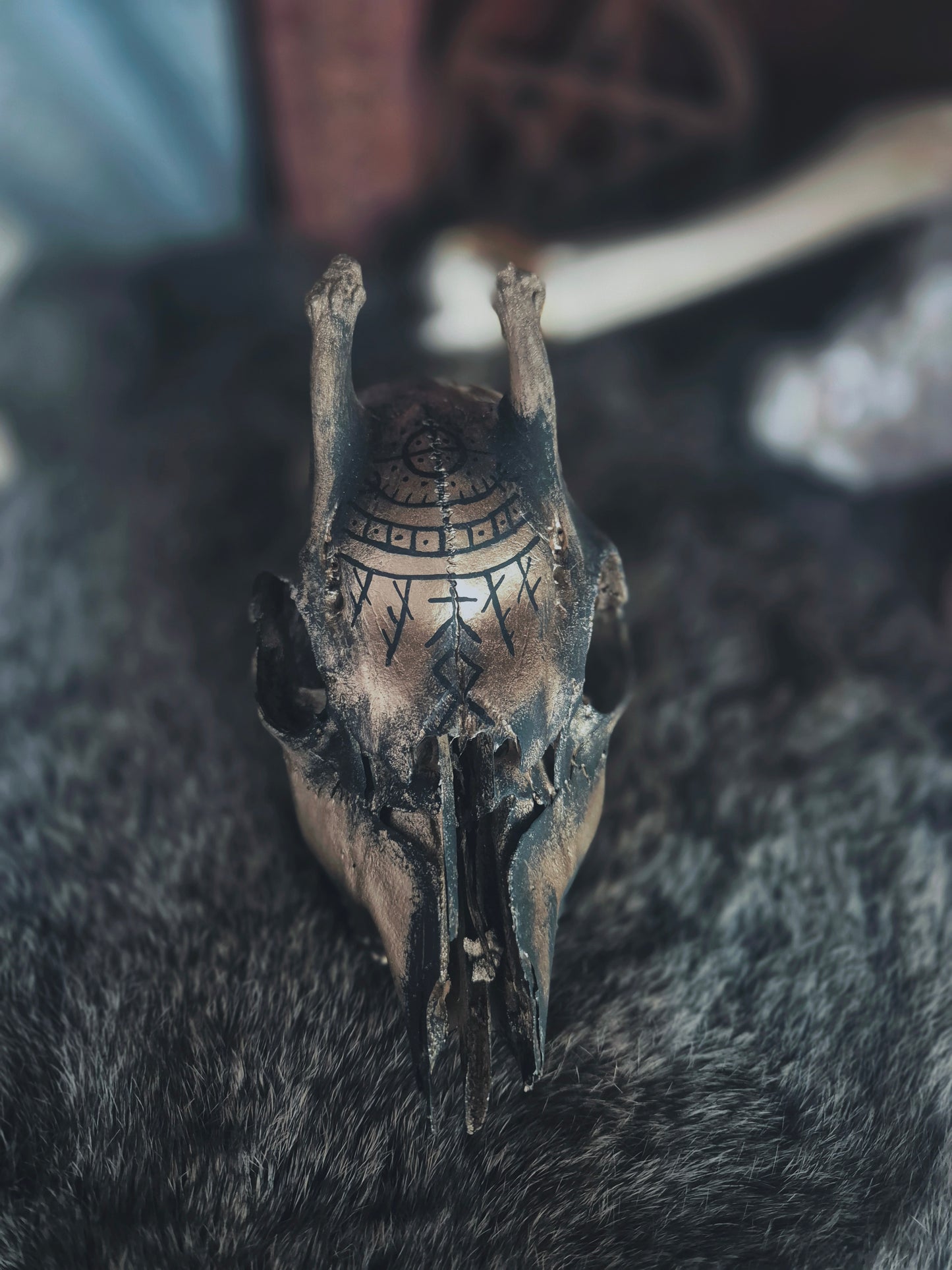 Runic Painted Deer Skull