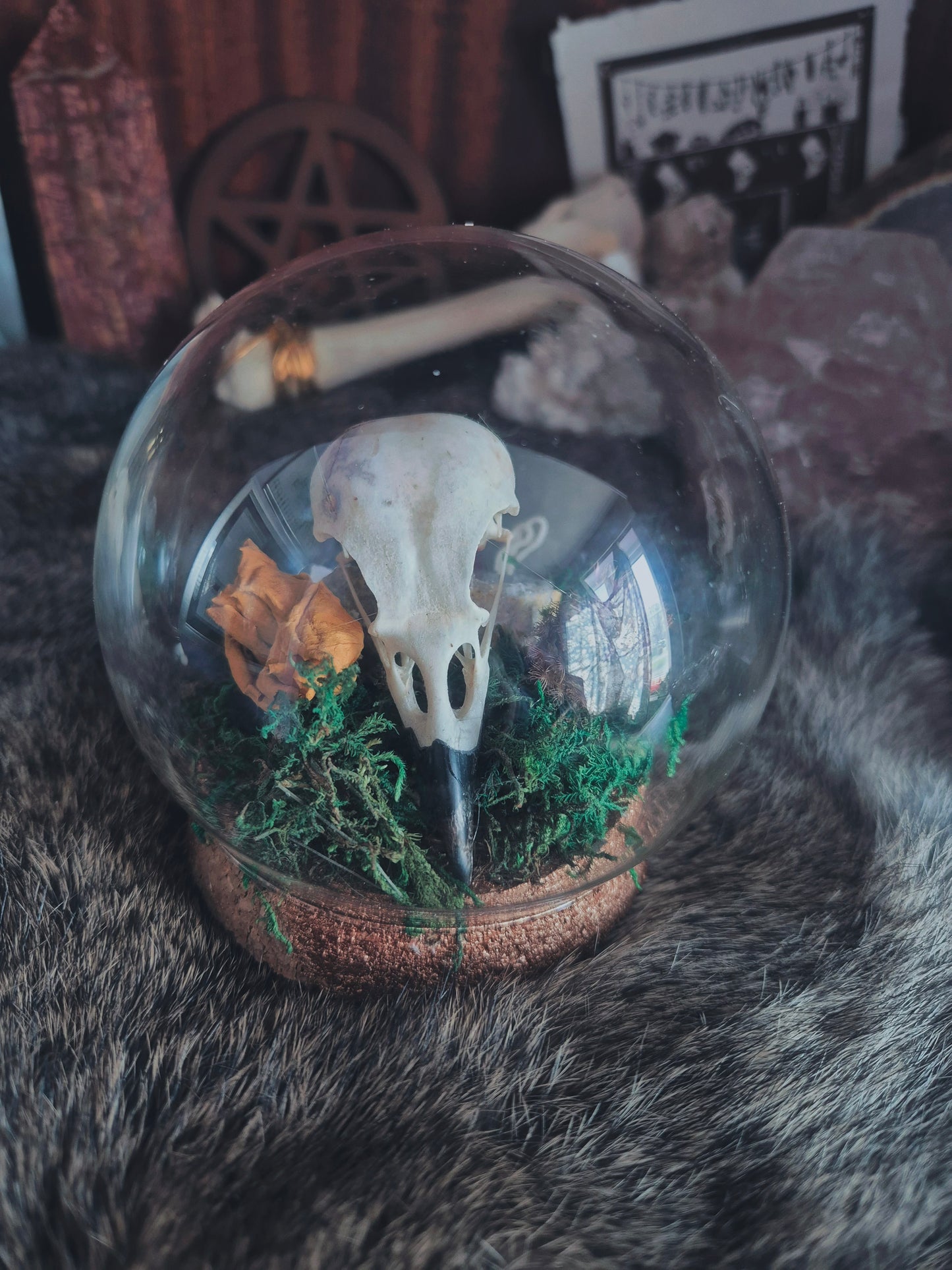 Crow Skull Dome