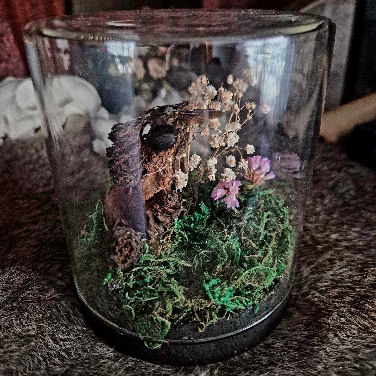 Giant Tropical Blue/green Bee Jar