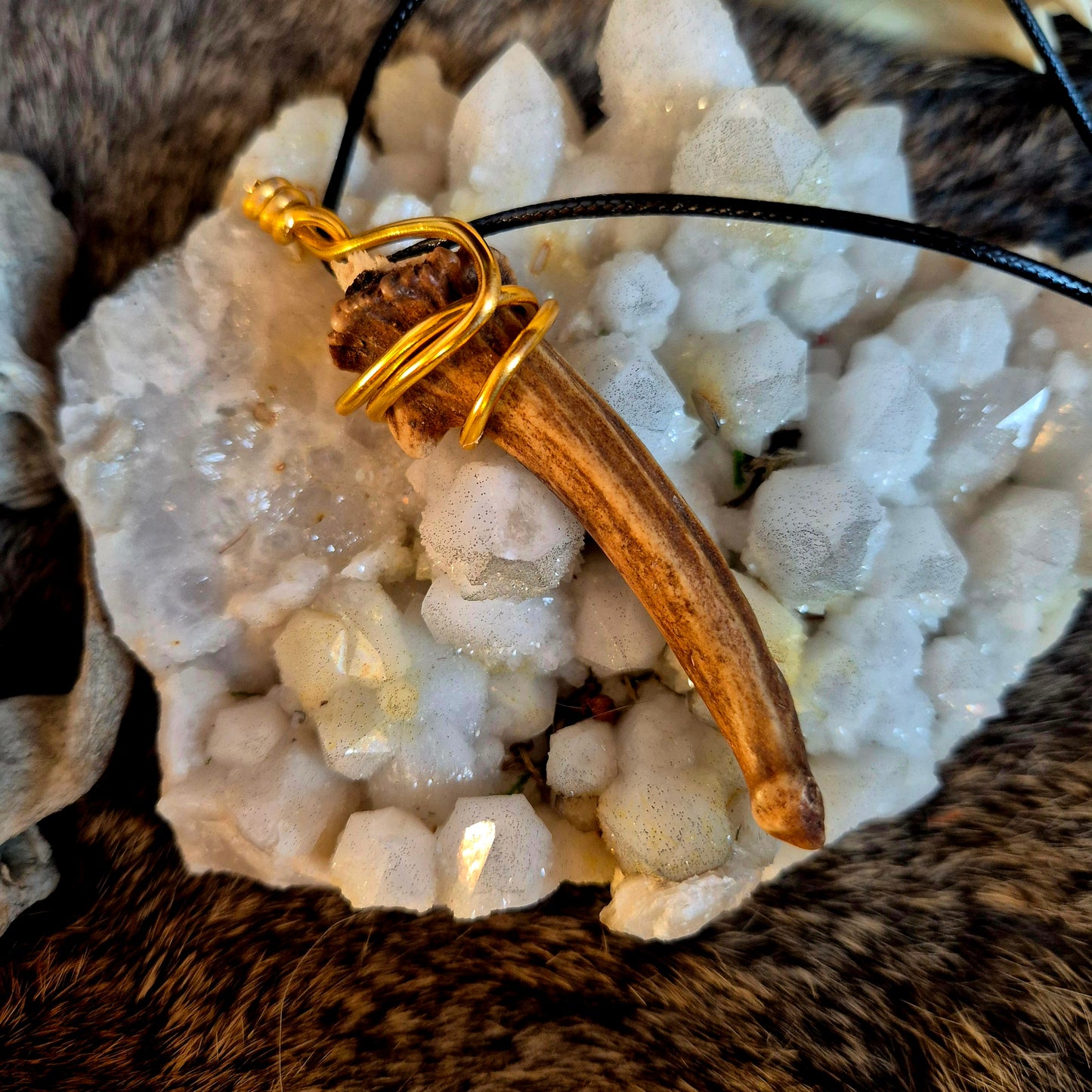 Muntjac Deer Antler Pendant