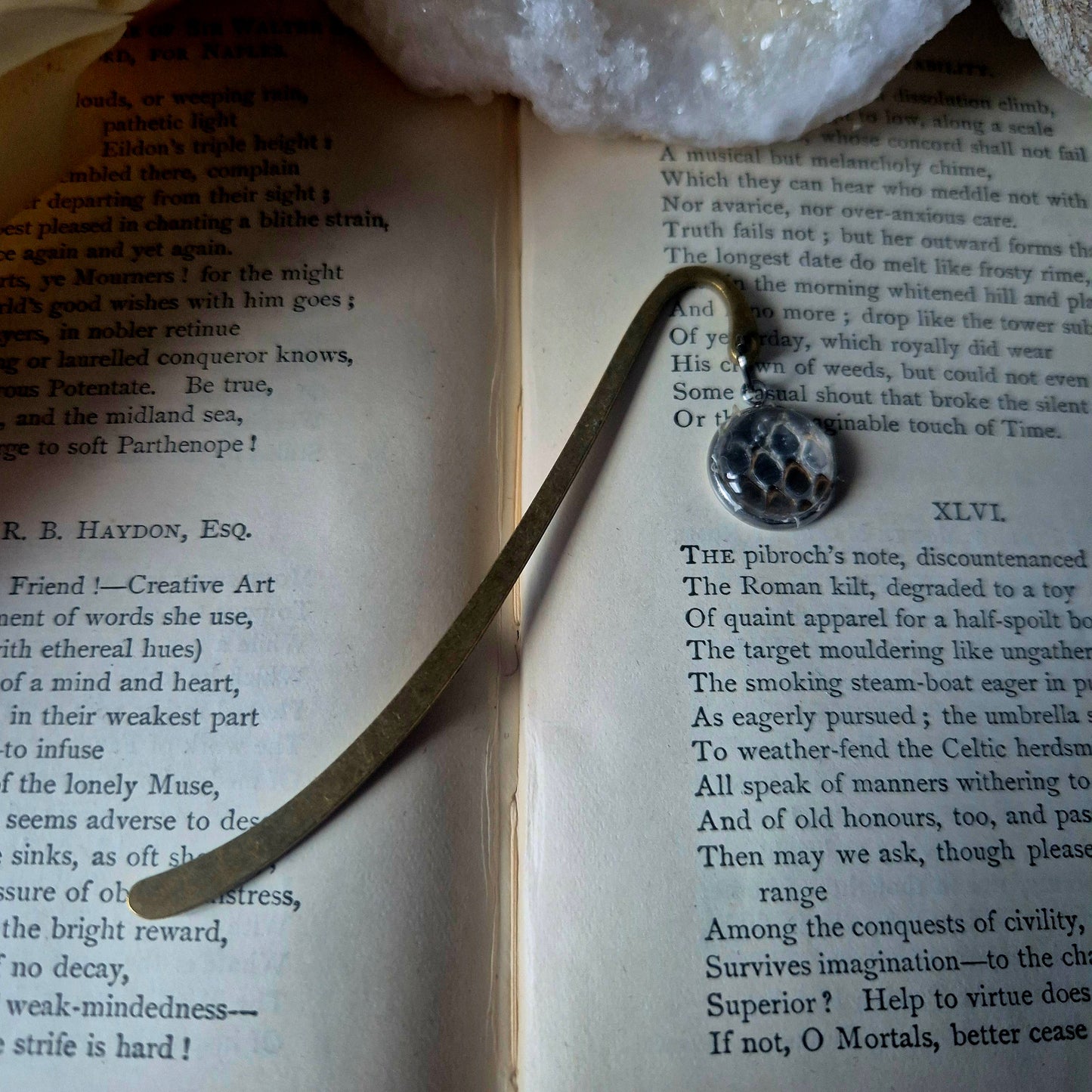 Snake Skin Bookmark