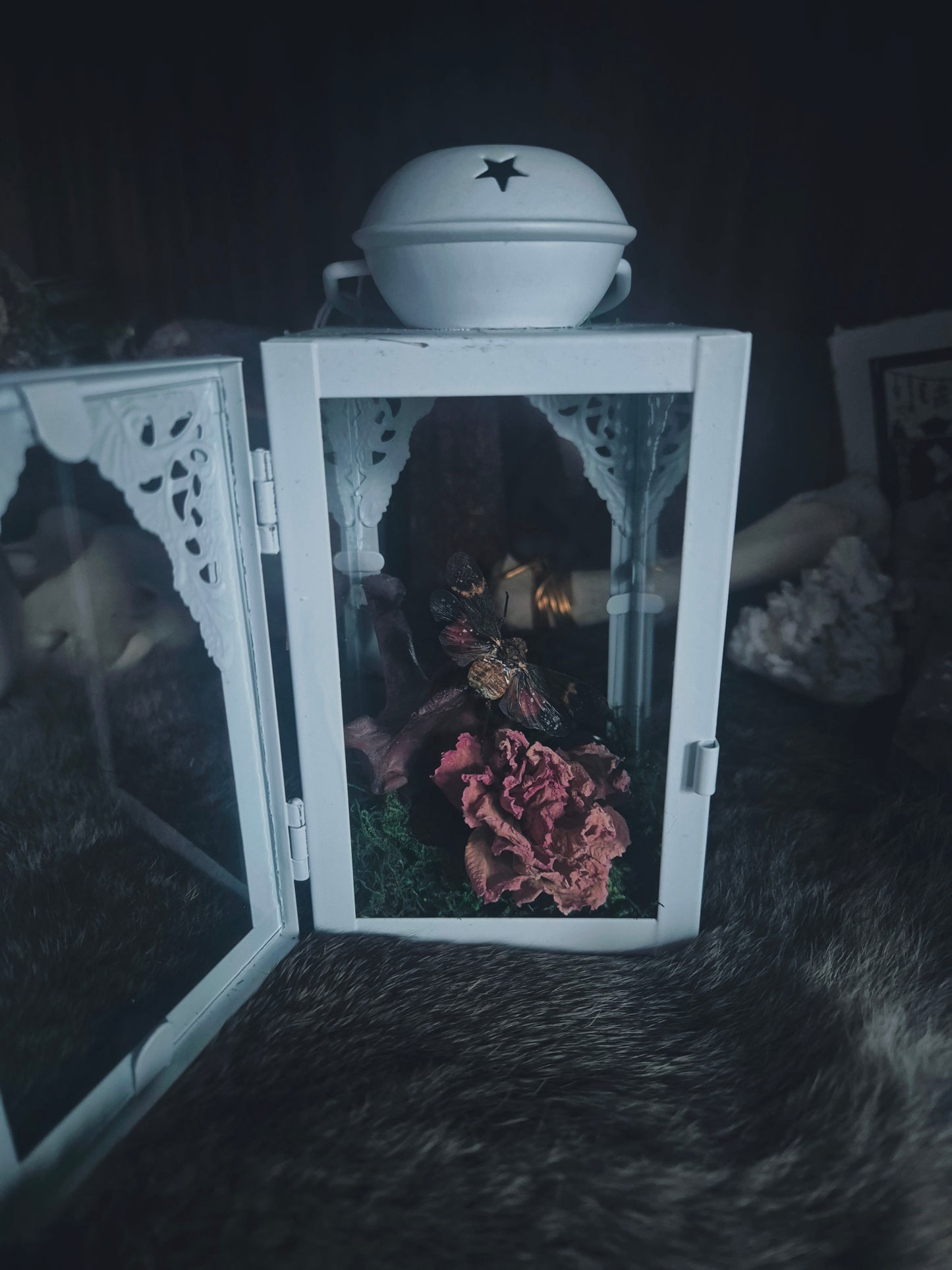 White Curio Lantern