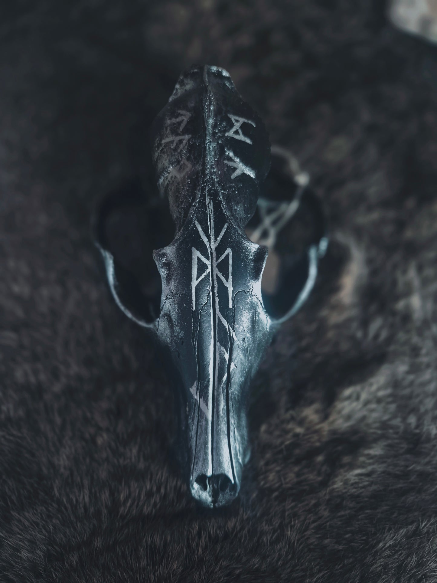 Runic Painted Fox Skull